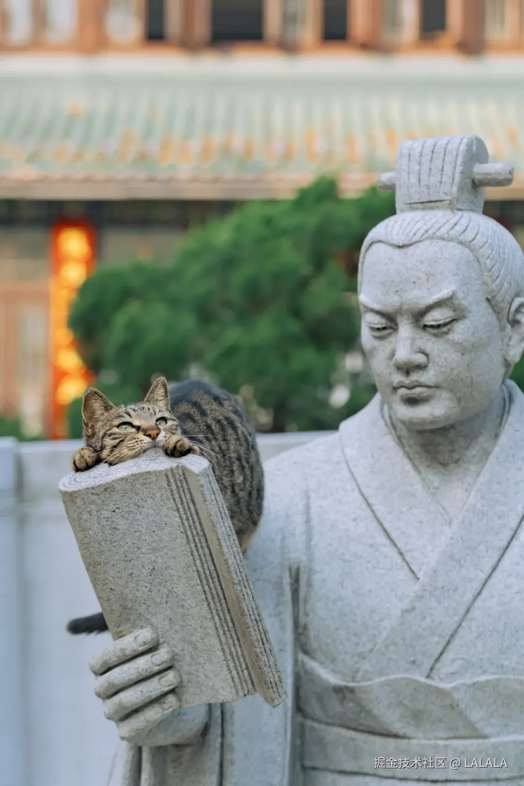 LALALA于2026-03-20 17:02发布的图片