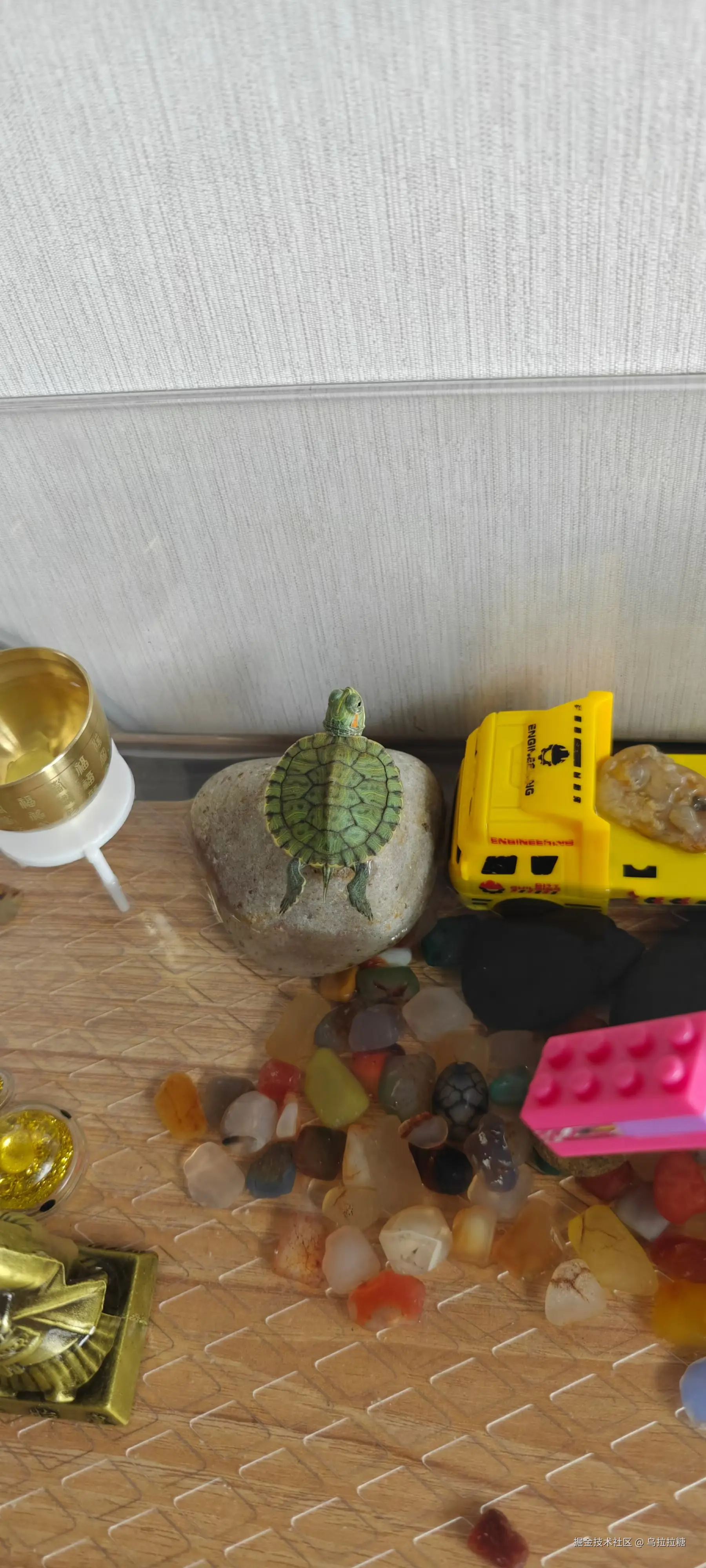 乌拉拉糖于2025-06-23 22:22发布的图片