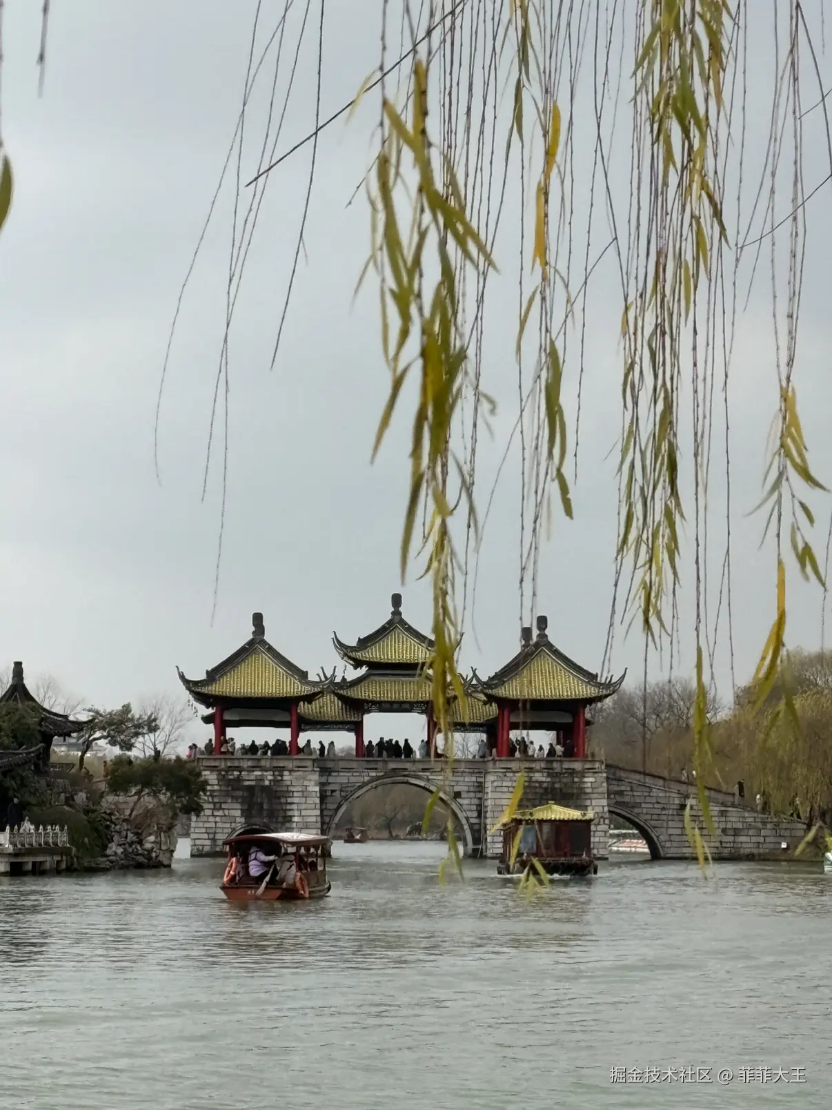 菲菲大王于2026-01-04 10:52发布的图片