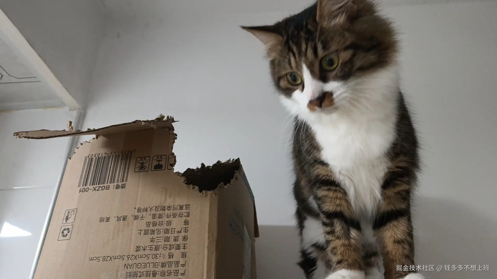 钱多多不想上班于2025-12-25 16:28发布的图片