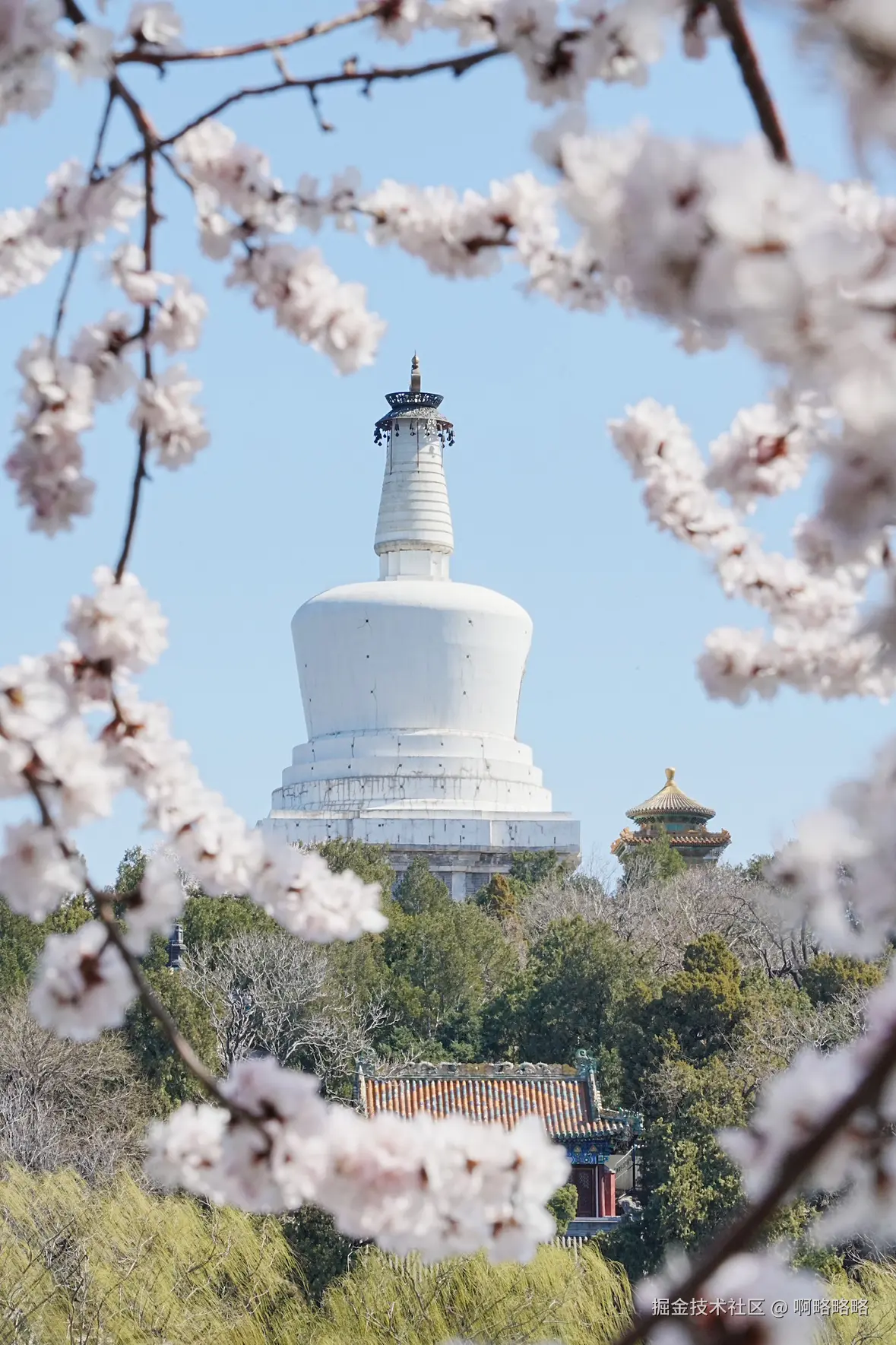 啊略略略于2025-03-17 10:14发布的图片