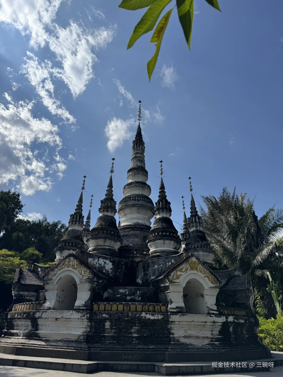 三碗呀于2024-12-09 11:51发布的图片