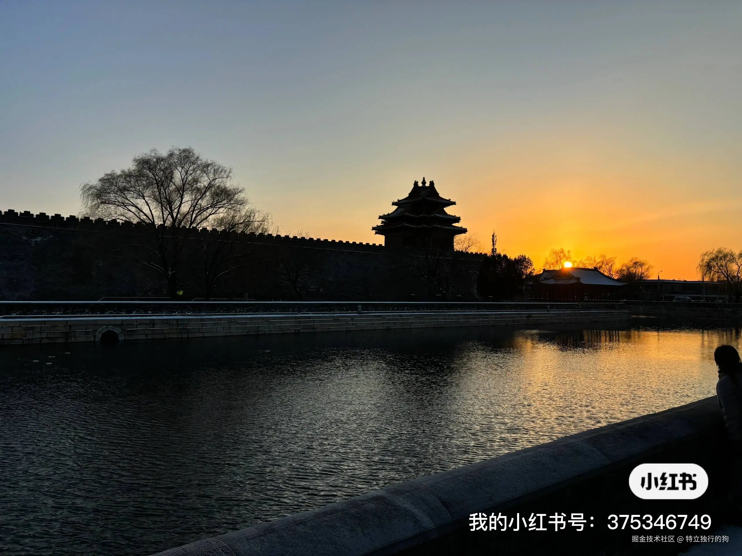 特立独行的狗于2025-12-18 13:44发布的图片