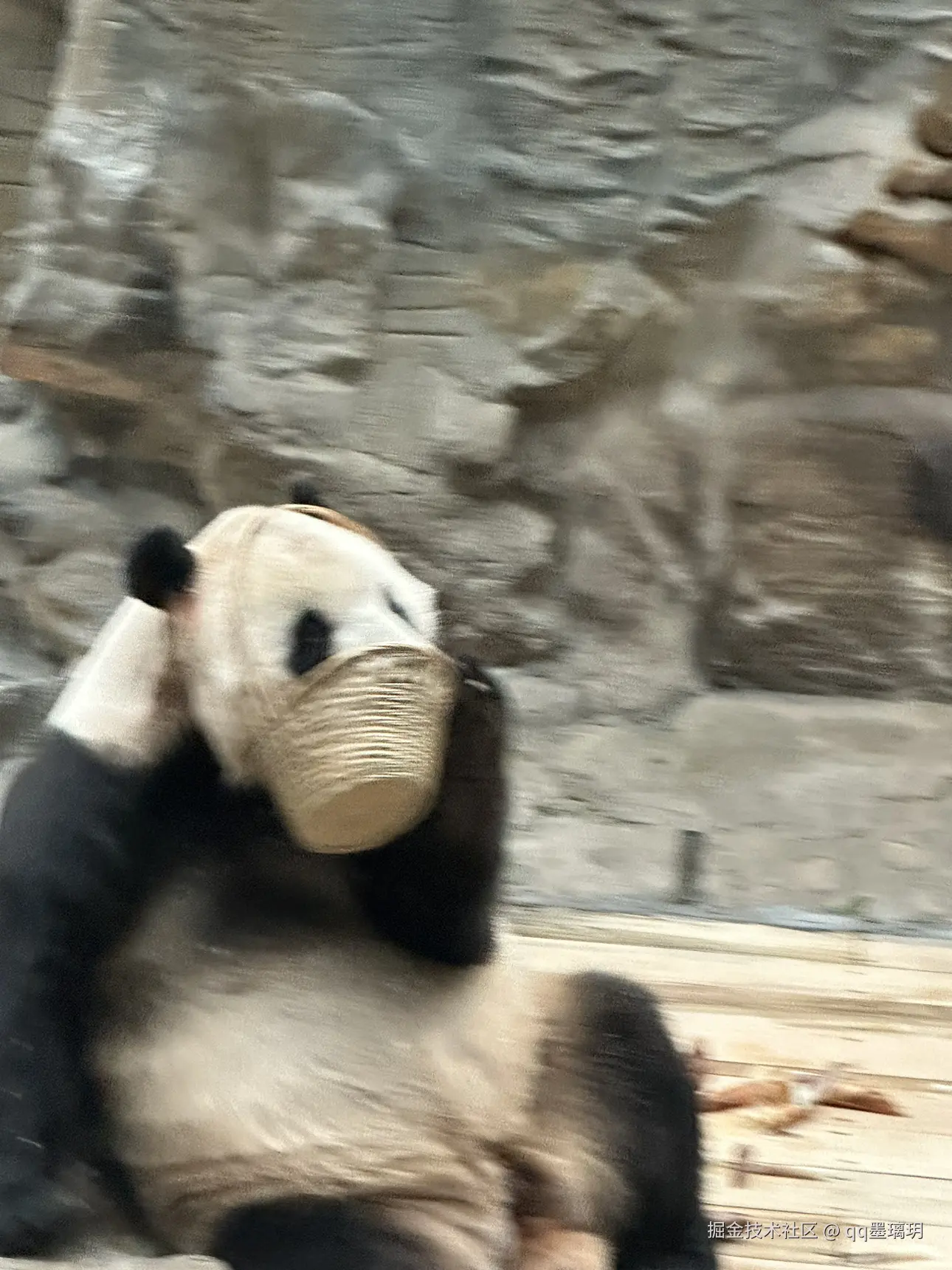 qq墨璃玥于2024-10-25 15:19发布的图片