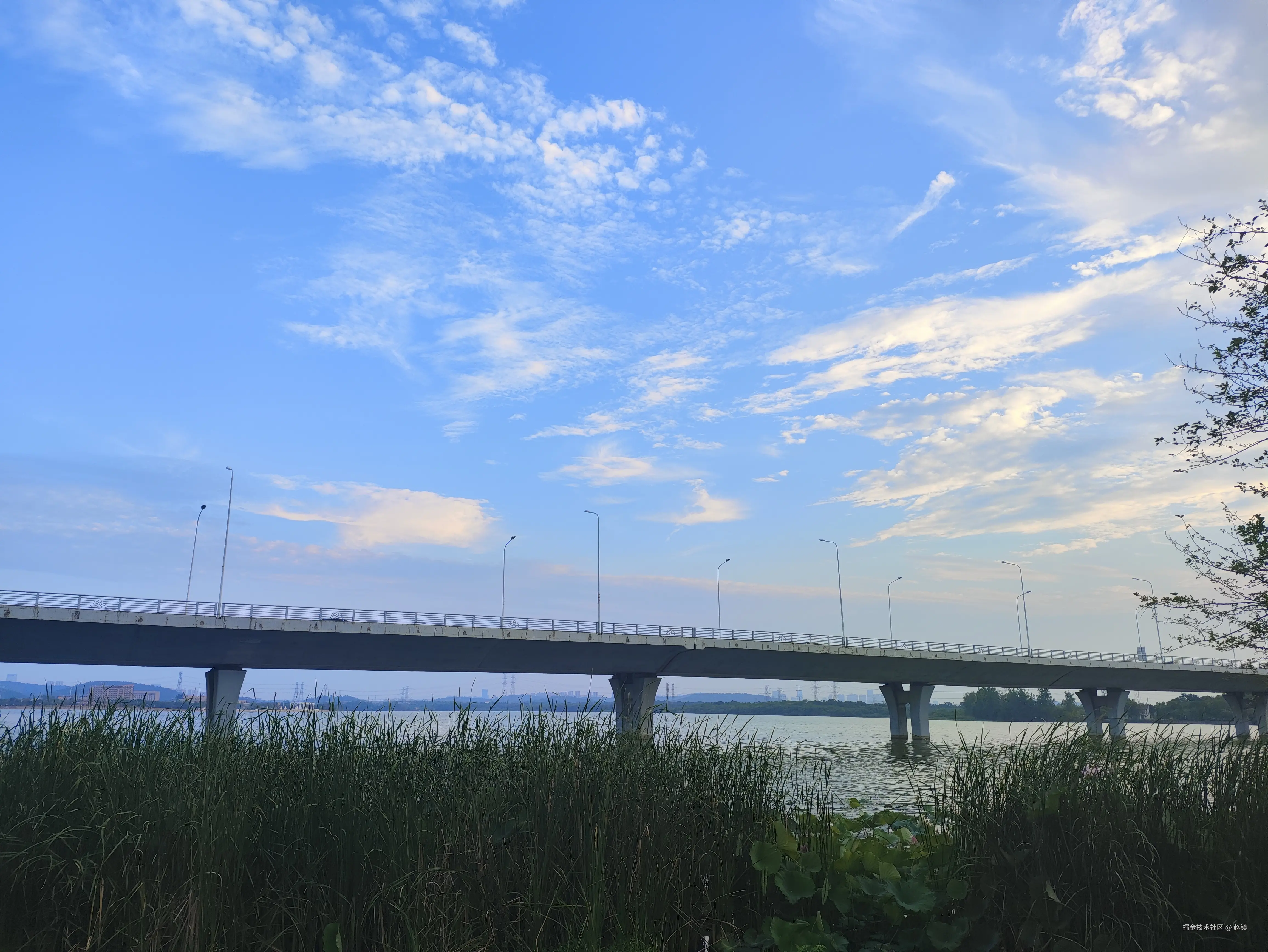 赵镇于2024-07-23 12:21发布的图片