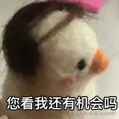 Jesse647于2025-02-10 14:43发布的图片