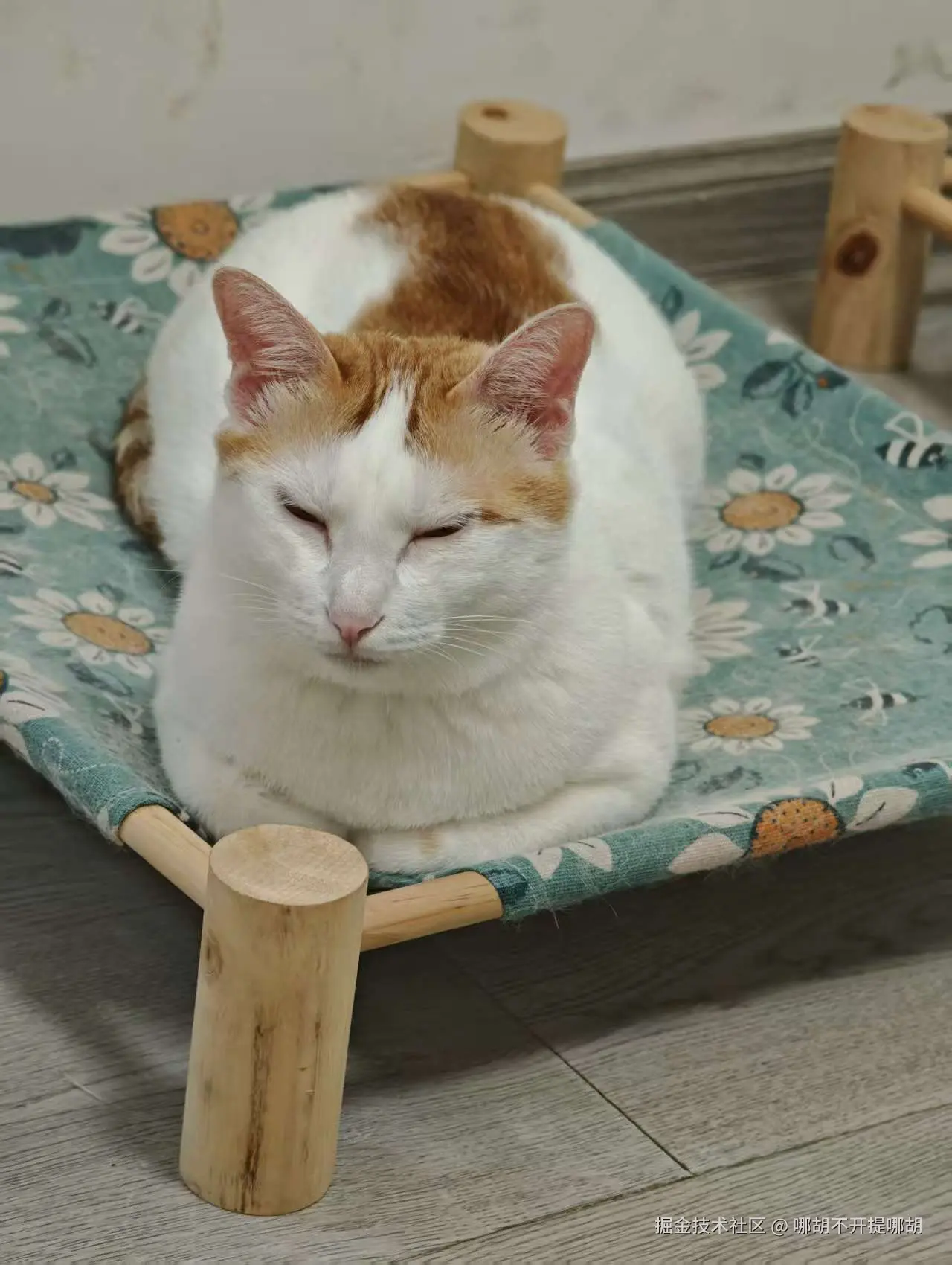 哪胡不开提哪胡于2025-09-01 11:13发布的图片