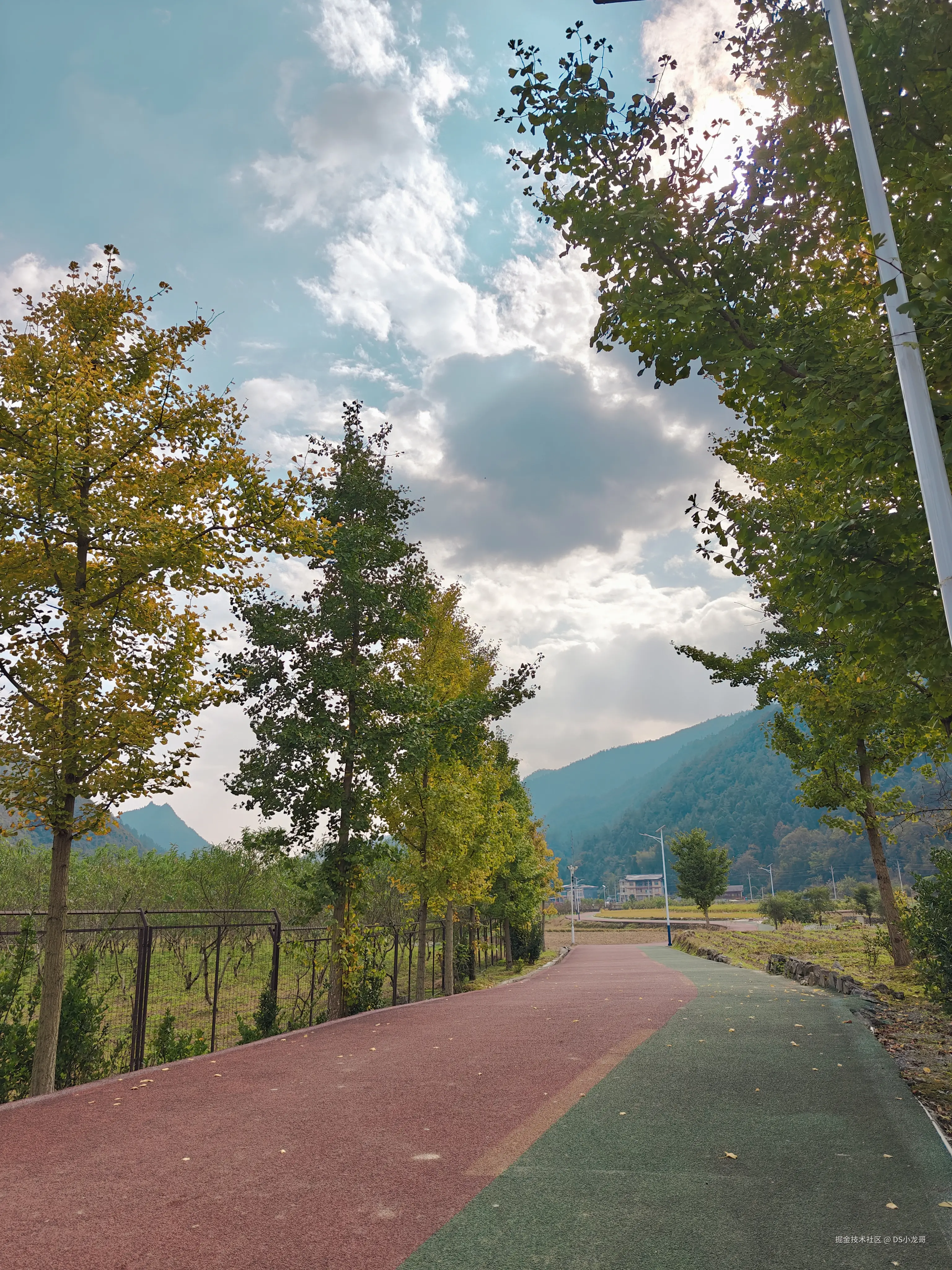 DS小龙哥于2024-11-03 21:39发布的图片