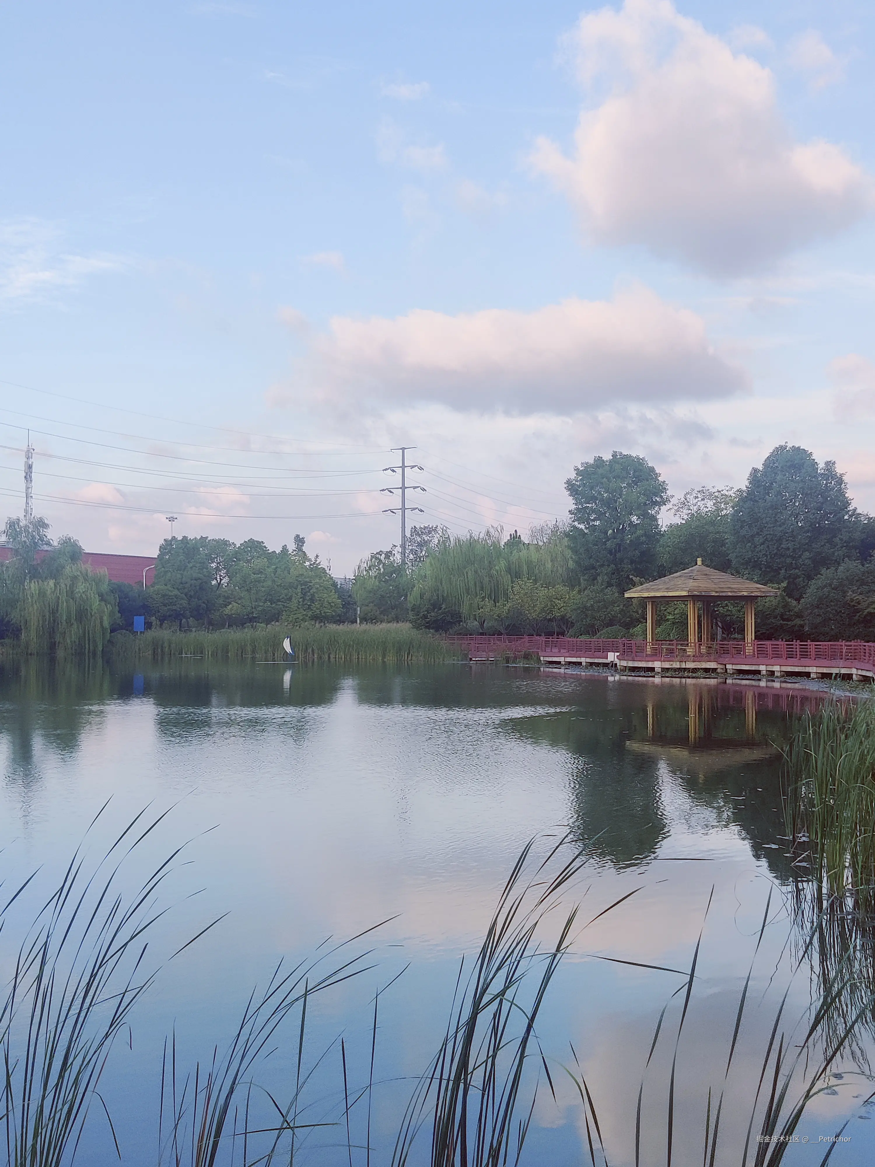 __Petrichor于2024-09-19 17:41发布的图片