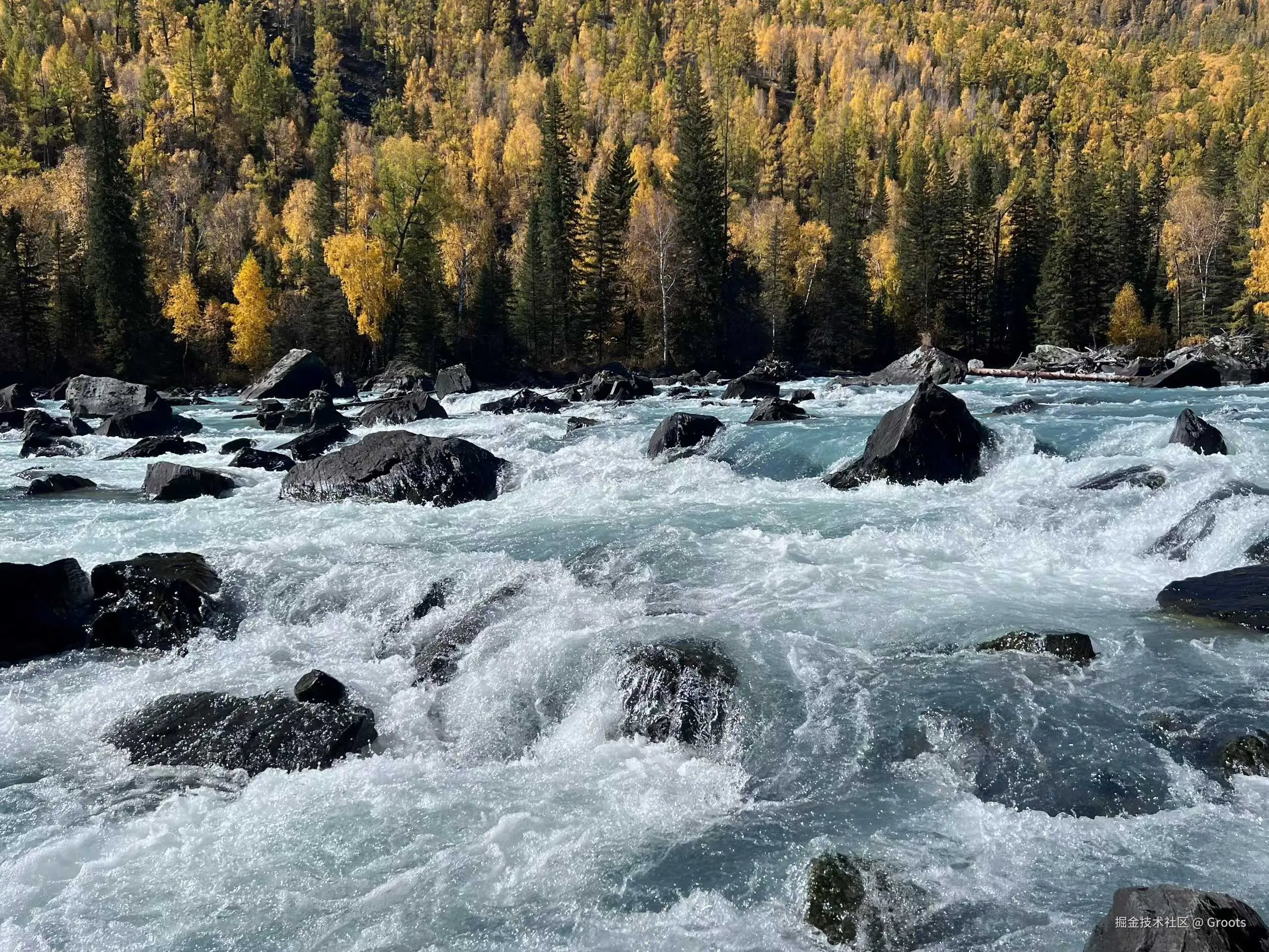 Groots于2025-09-29 01:56发布的图片