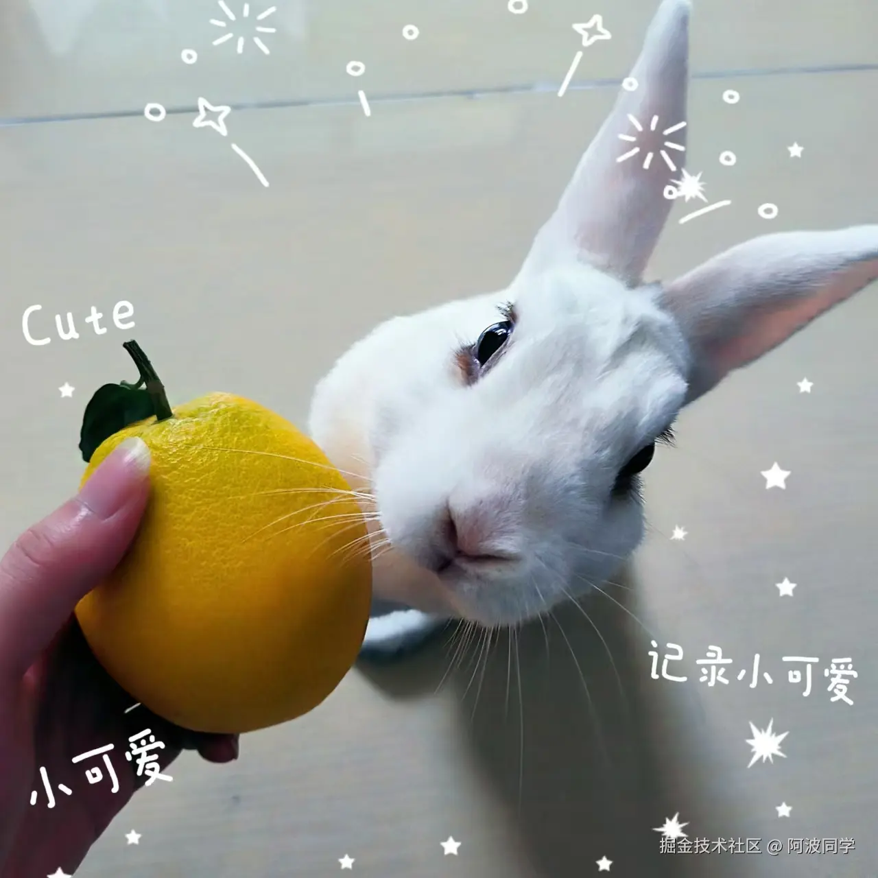 阿波同学于2024-11-07 10:34发布的图片