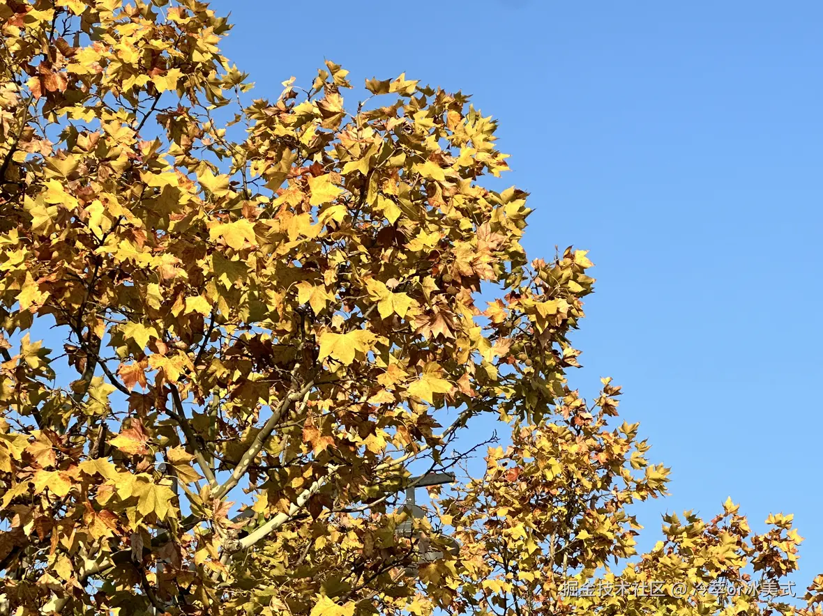 冷萃or冰美式_于2024-12-02 13:09发布的图片