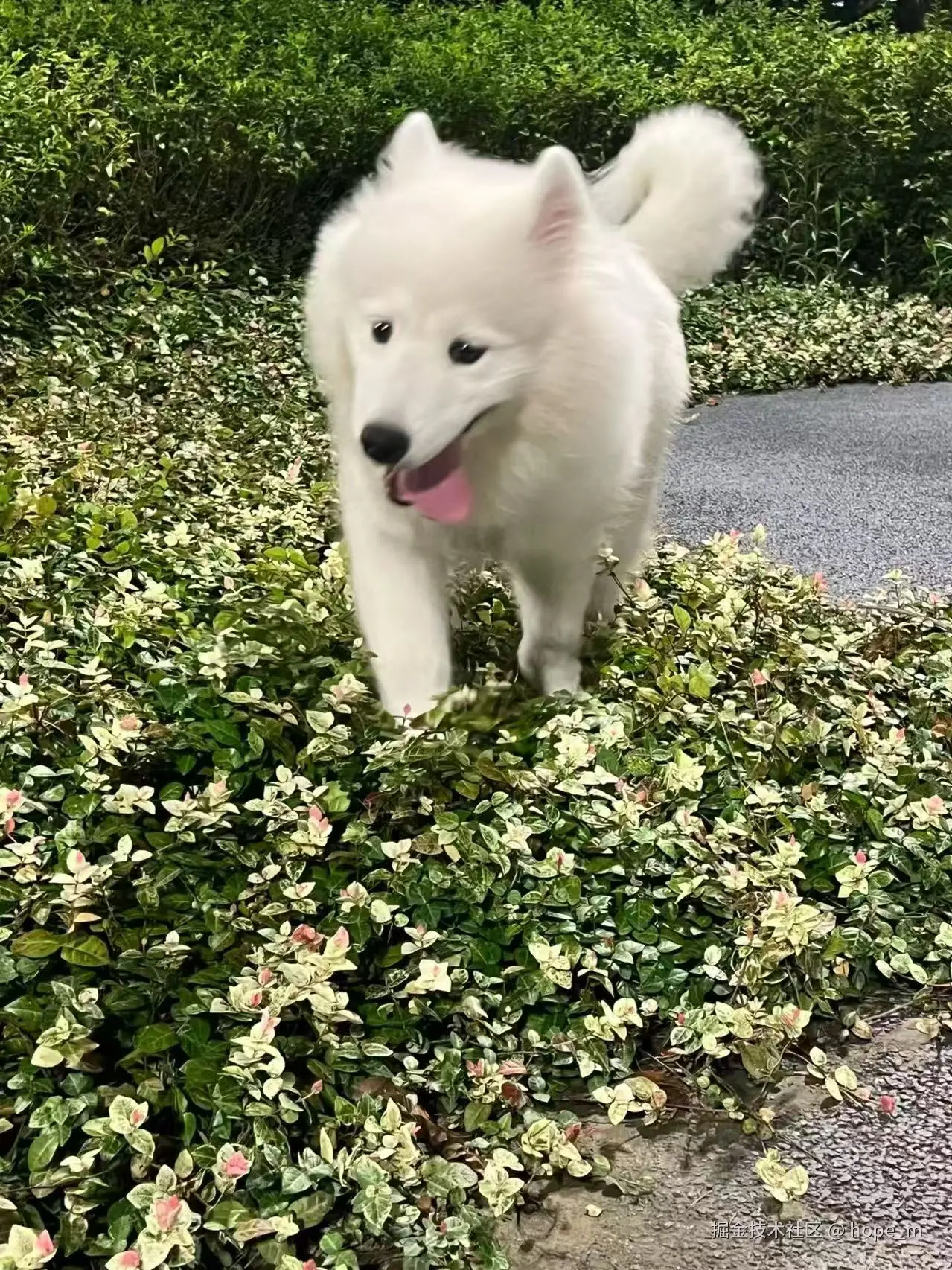 hope_m于2025-09-25 09:15发布的图片