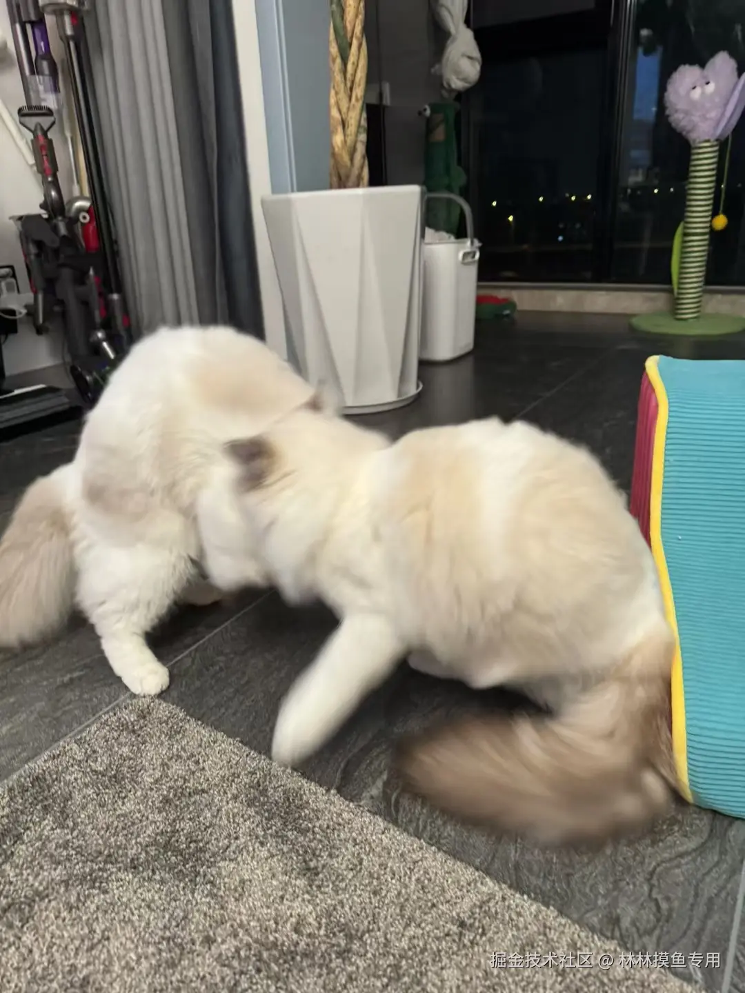 林林摸鱼专用于2024-11-01 14:24发布的图片