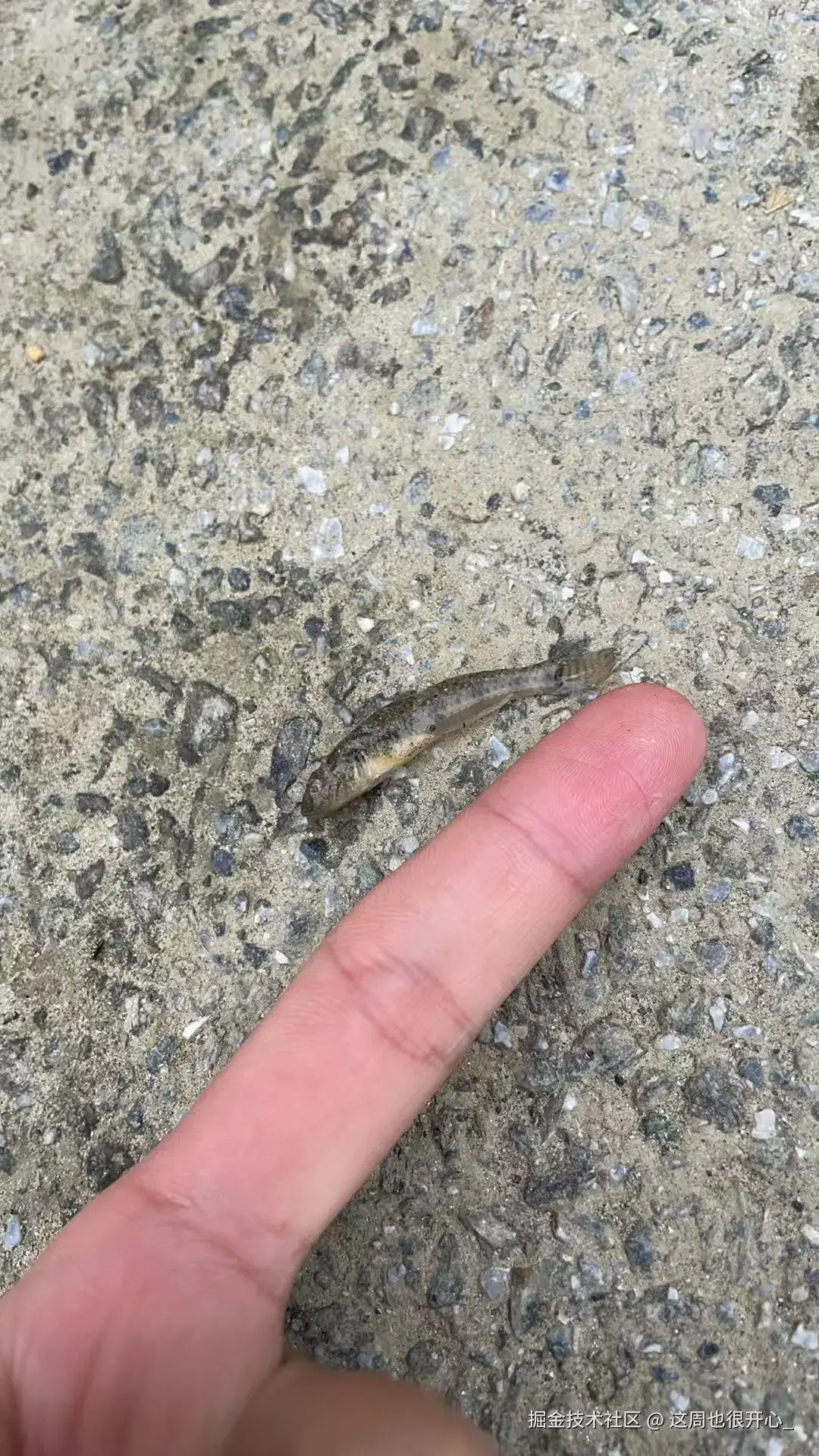 这周也很开心_于2025-10-20 10:46发布的图片