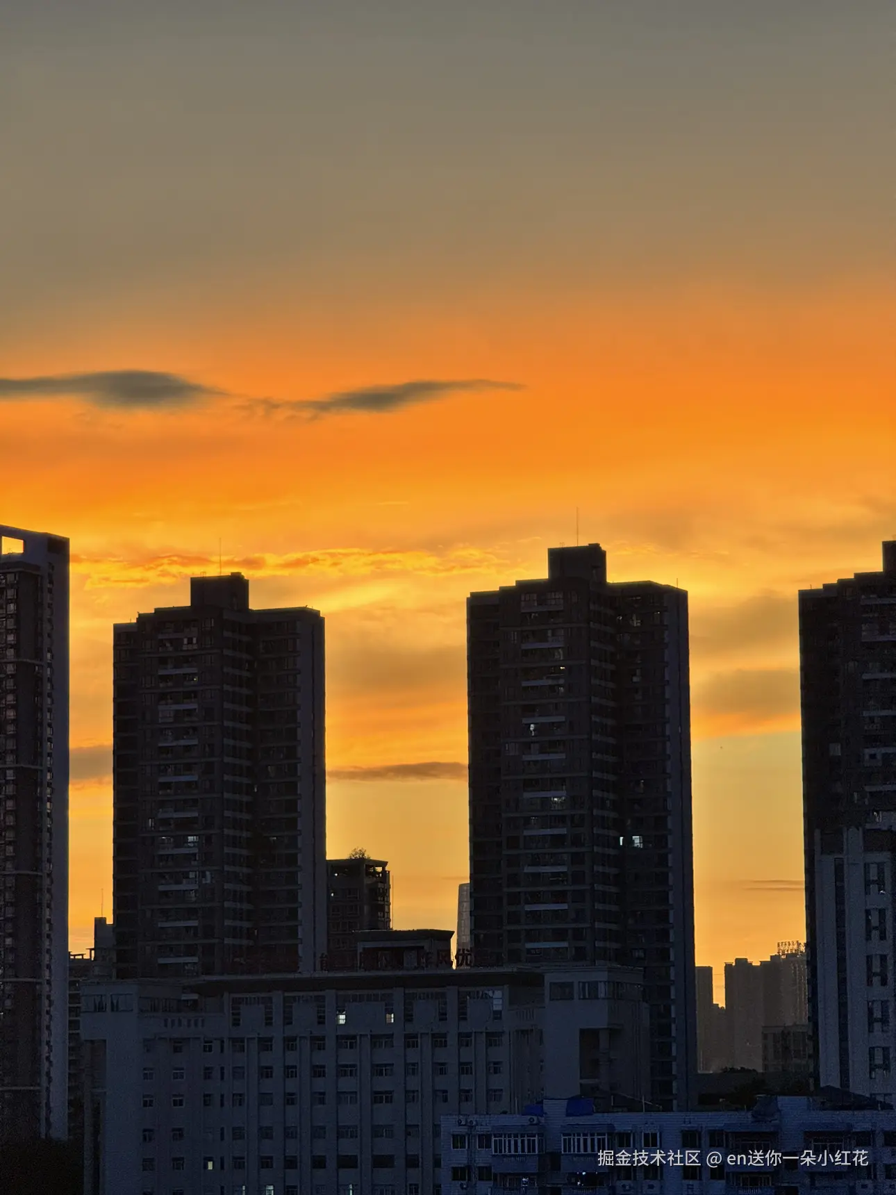 en送你一朵小红花于2025-07-22 19:59发布的图片