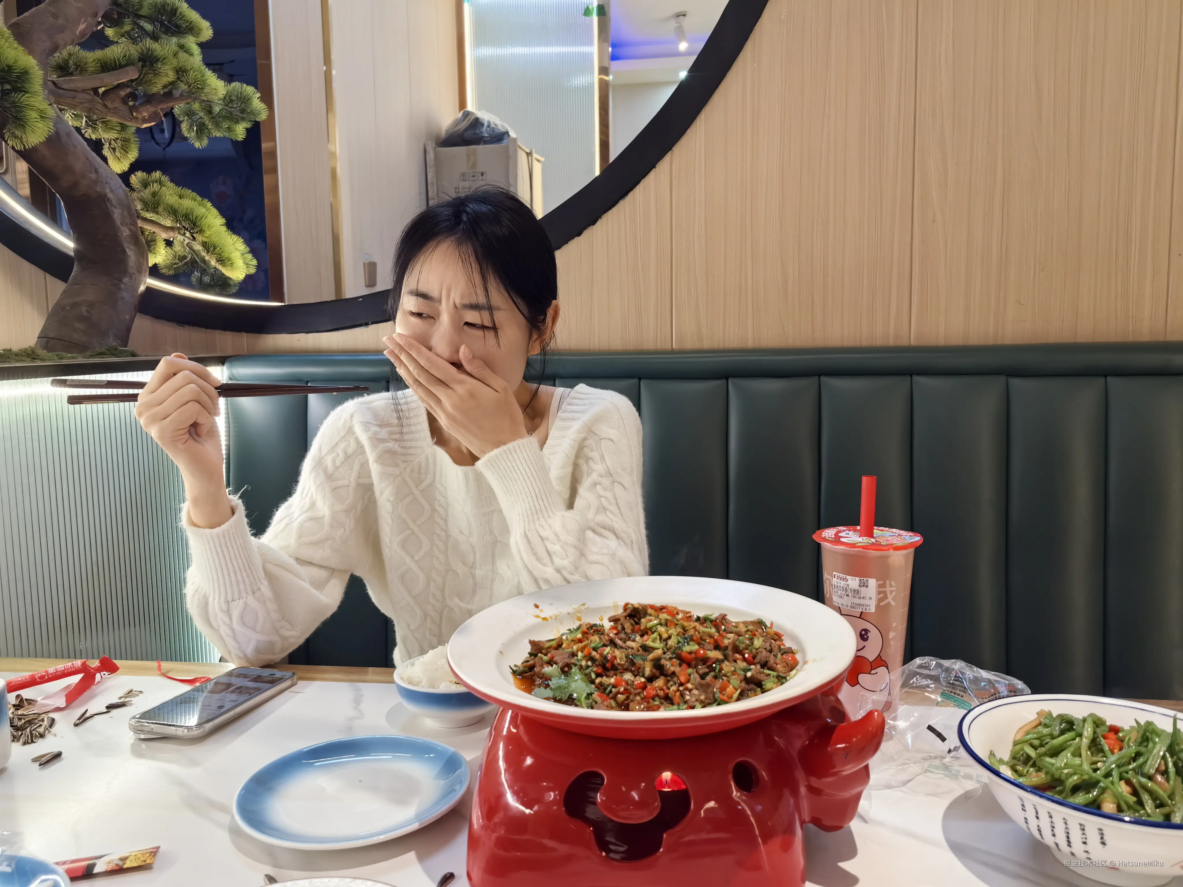 HatsuneMiku于2025-04-28 08:12发布的图片