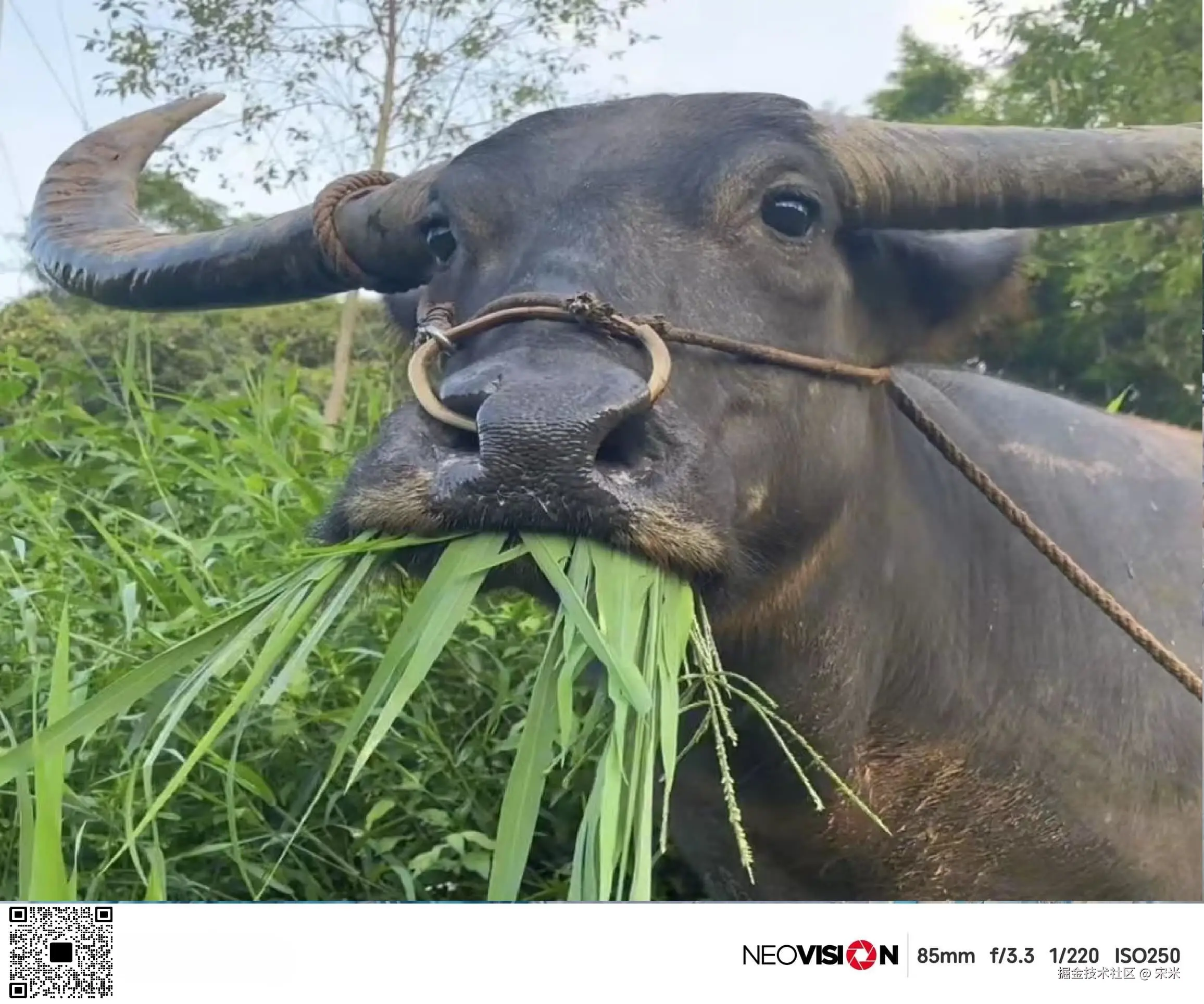 宋米于2024-09-26 01:13发布的图片