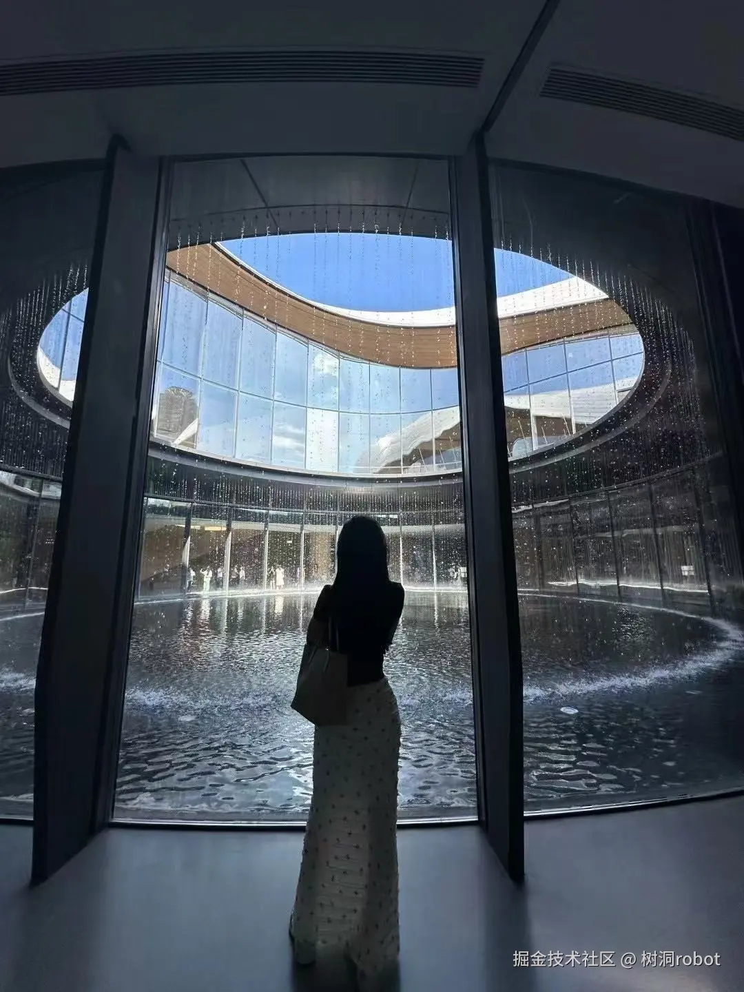 树洞robot于2025-01-02 16:25发布的图片