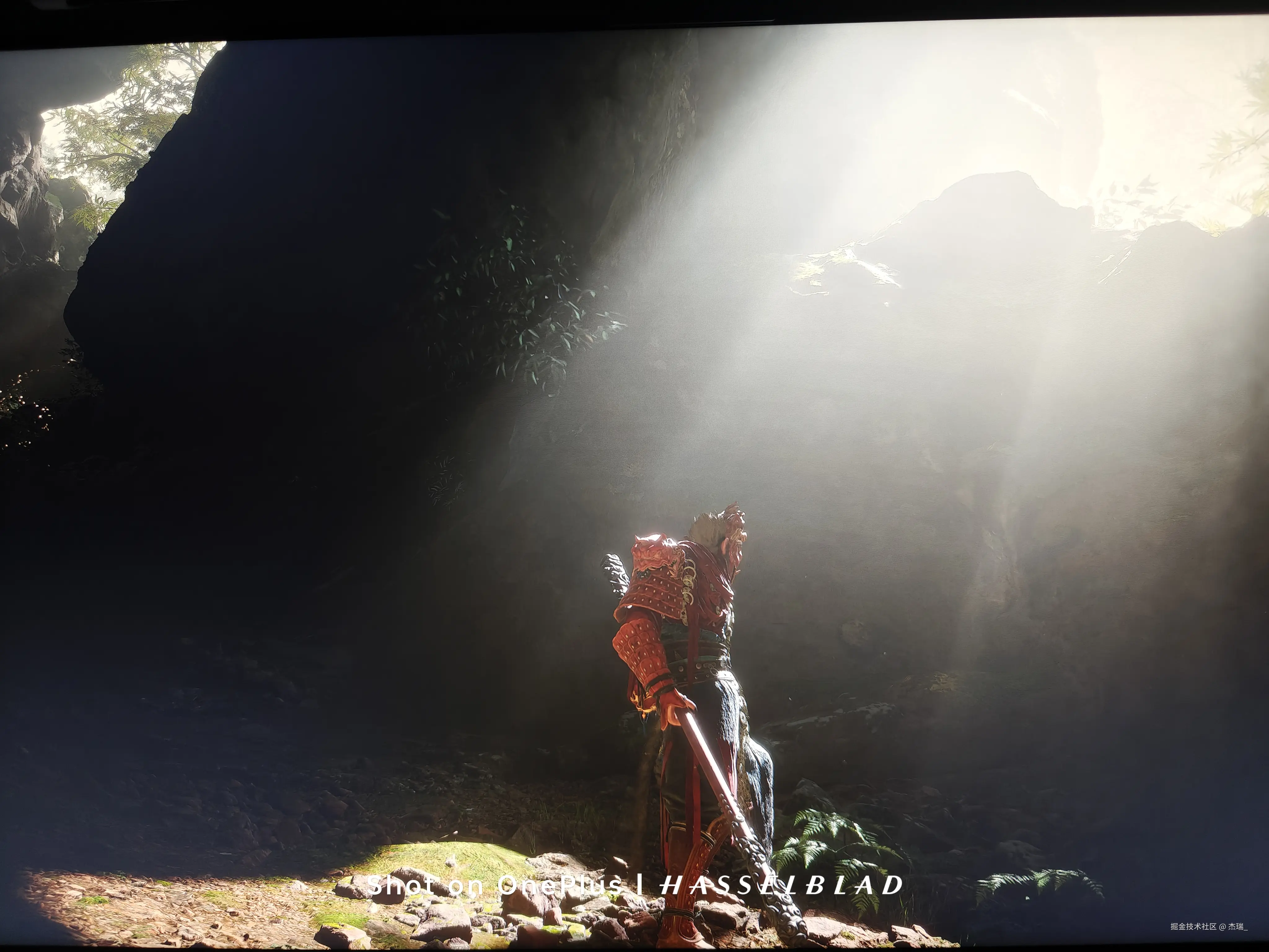 杰瑞_于2024-08-23 09:26发布的图片