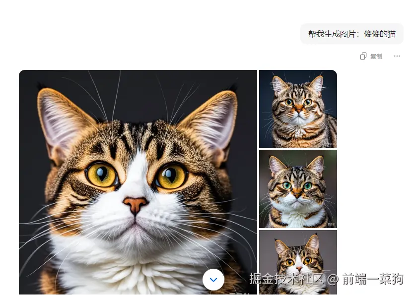 前端一菜狗于2024-07-29 09:17发布的图片