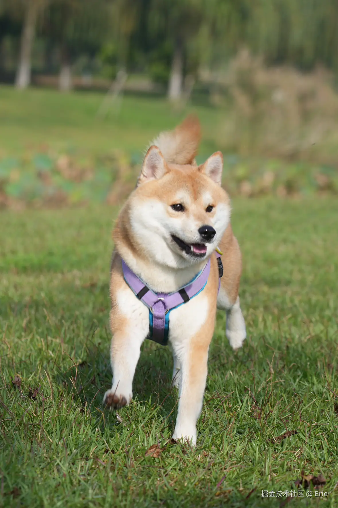 Erie于2025-11-18 08:30发布的图片