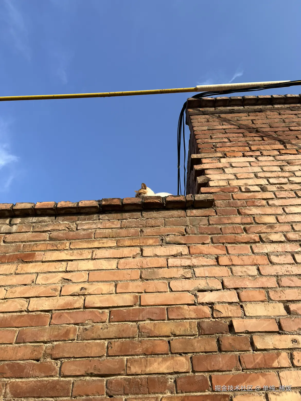 单纯_稀饭于2025-11-26 09:05发布的图片