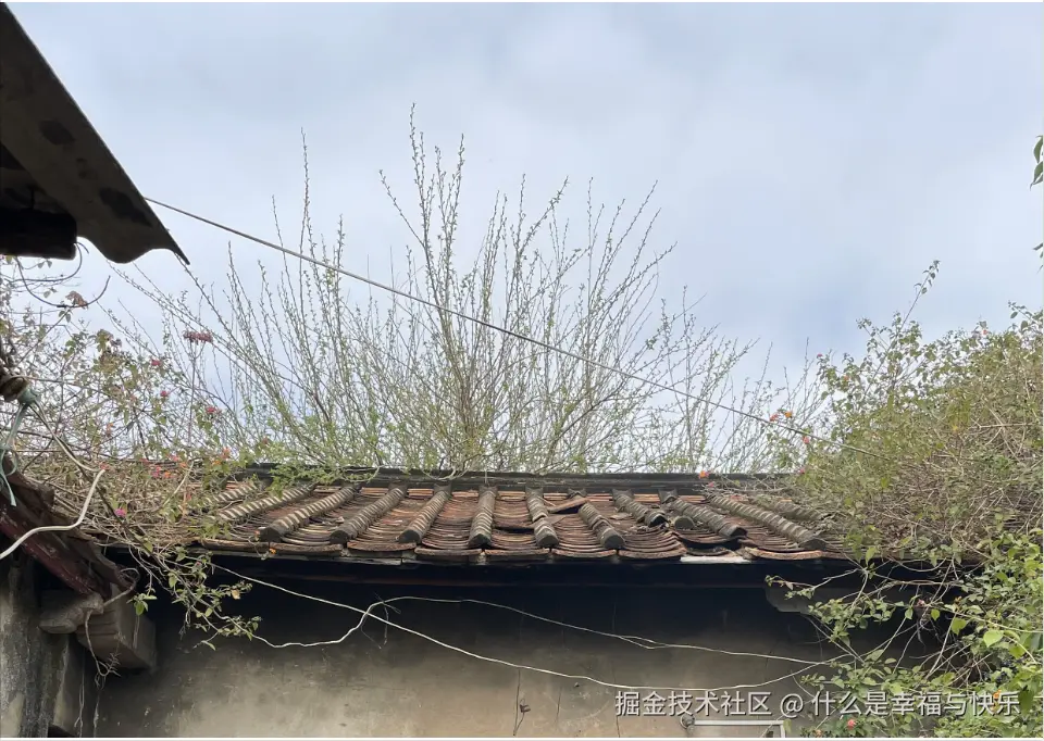 什么是幸福与快乐于2025-07-04 11:18发布的图片