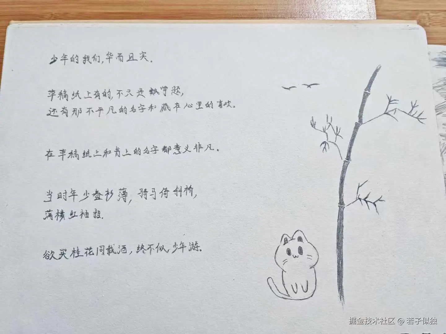 若孑似独于2024-12-16 17:22发布的图片