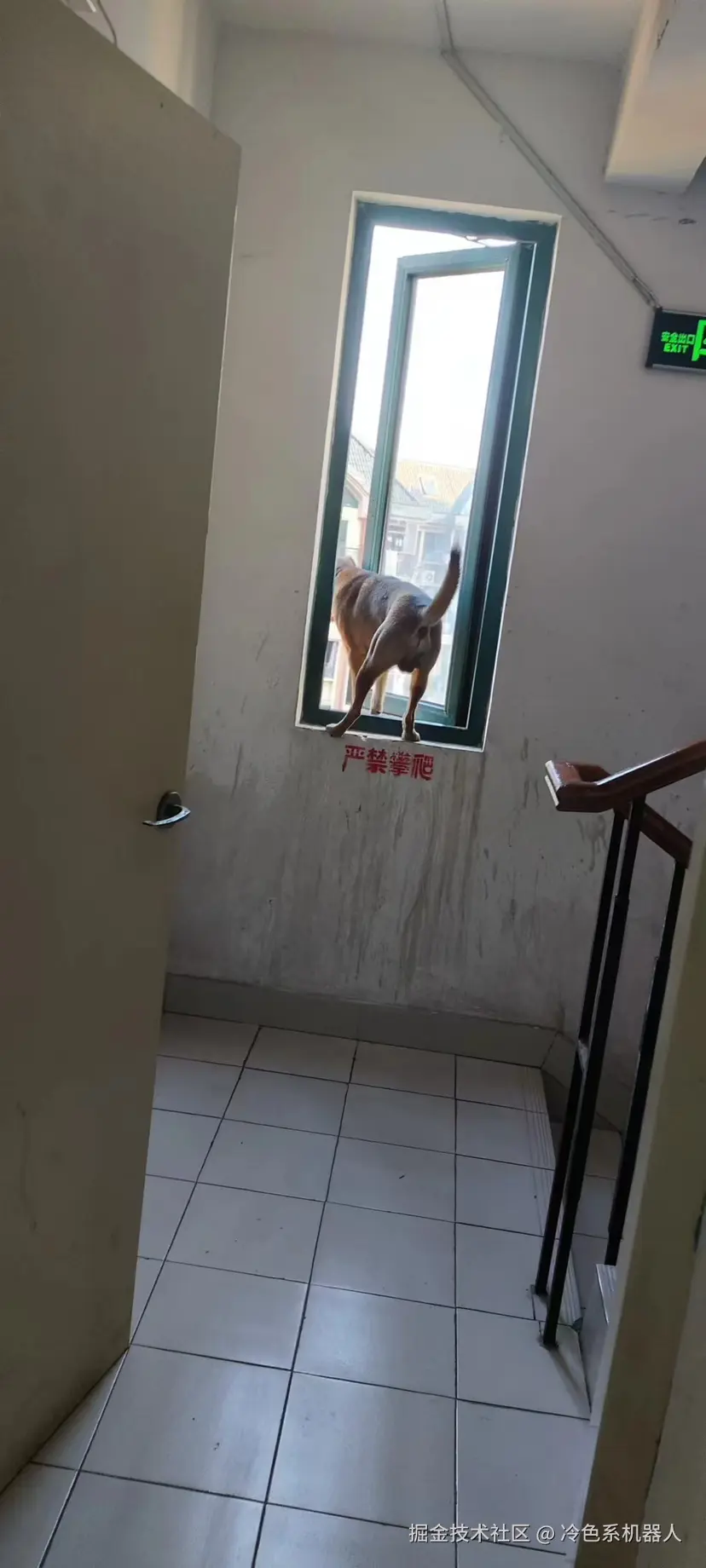 冷色系机器人于2024-10-31 20:33发布的图片