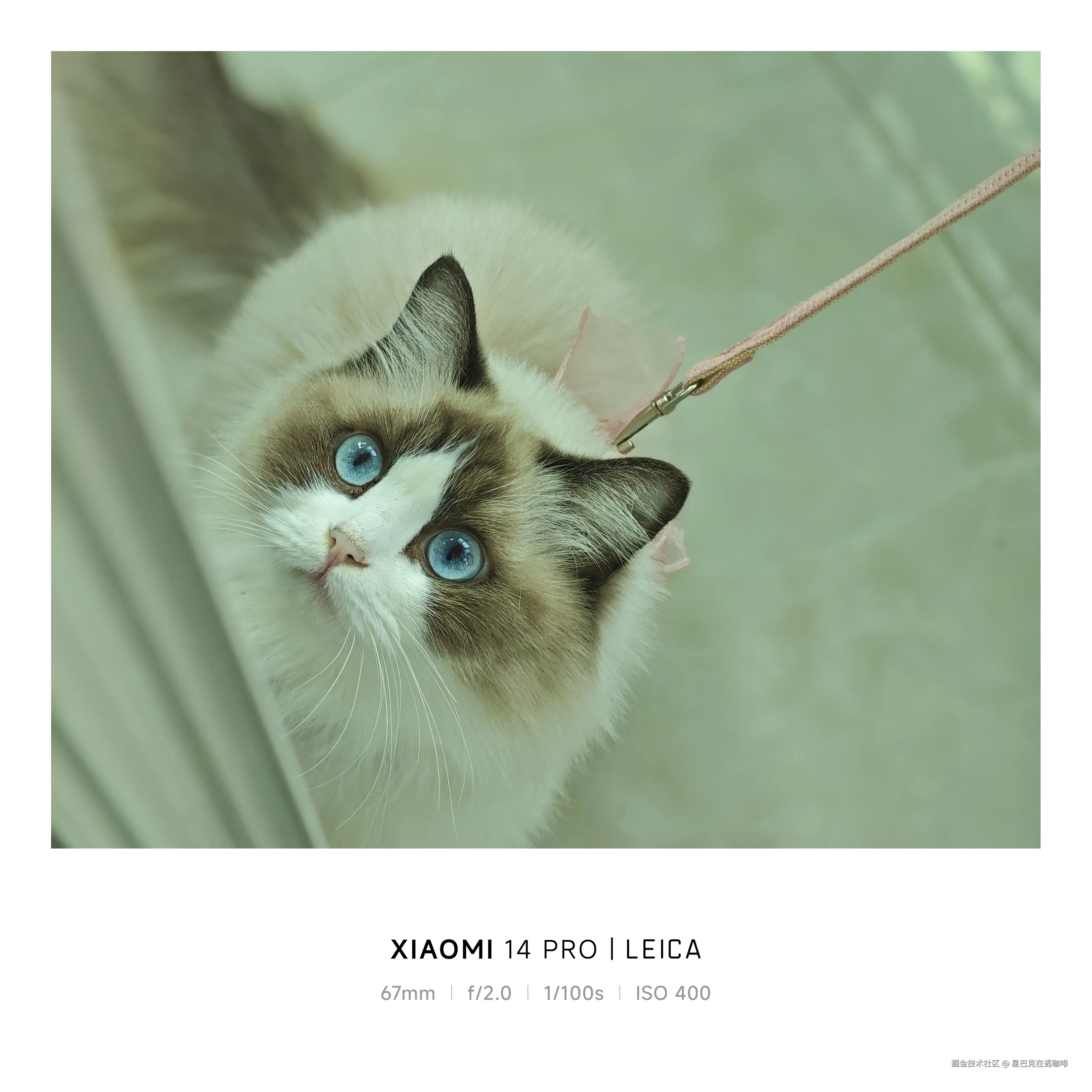 星巴克在逃咖啡于2024-10-21 09:35发布的图片