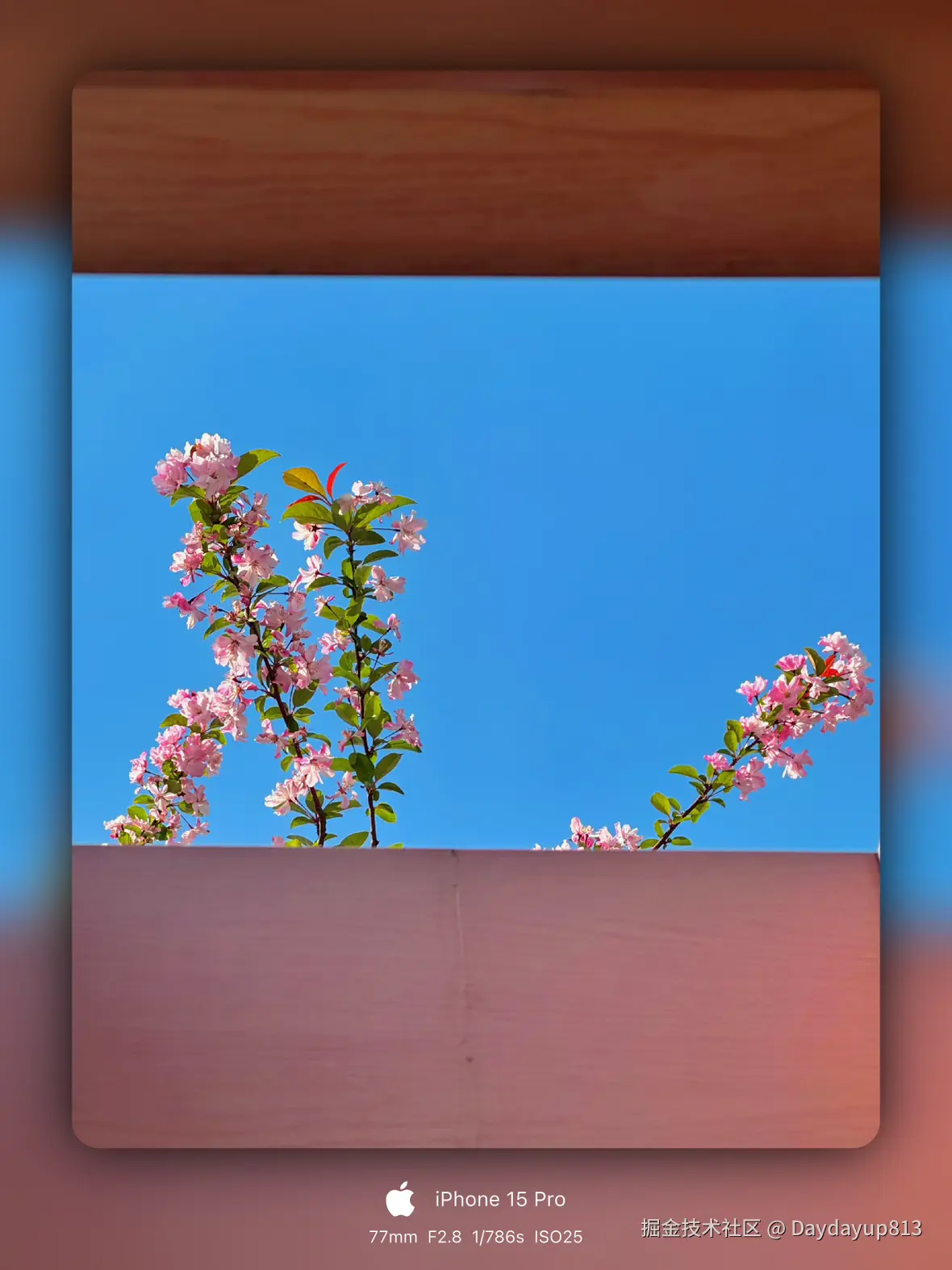 Daydayup813于2025-03-31 11:41发布的图片