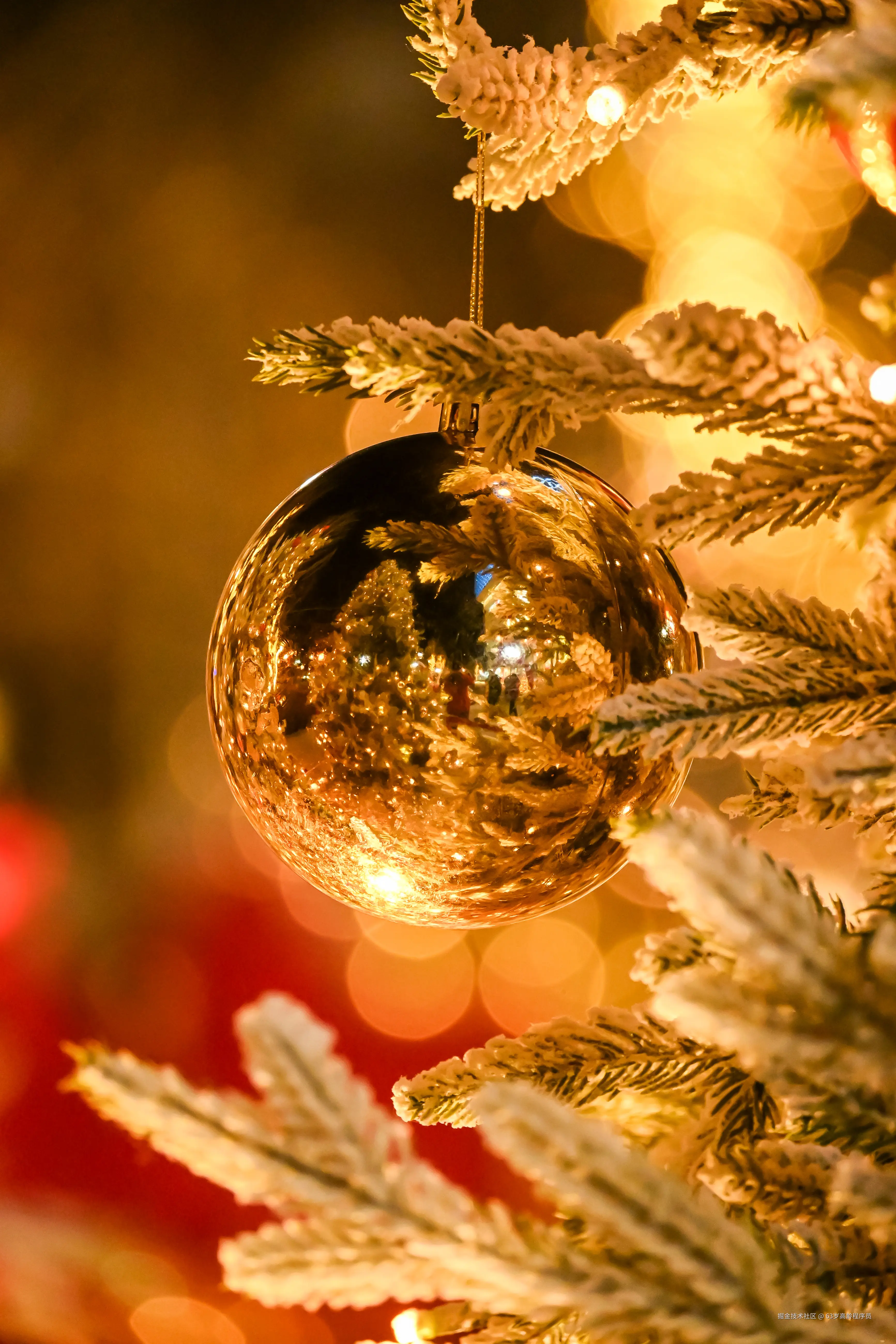 63岁高龄程序员于2025-12-19 01:26发布的图片