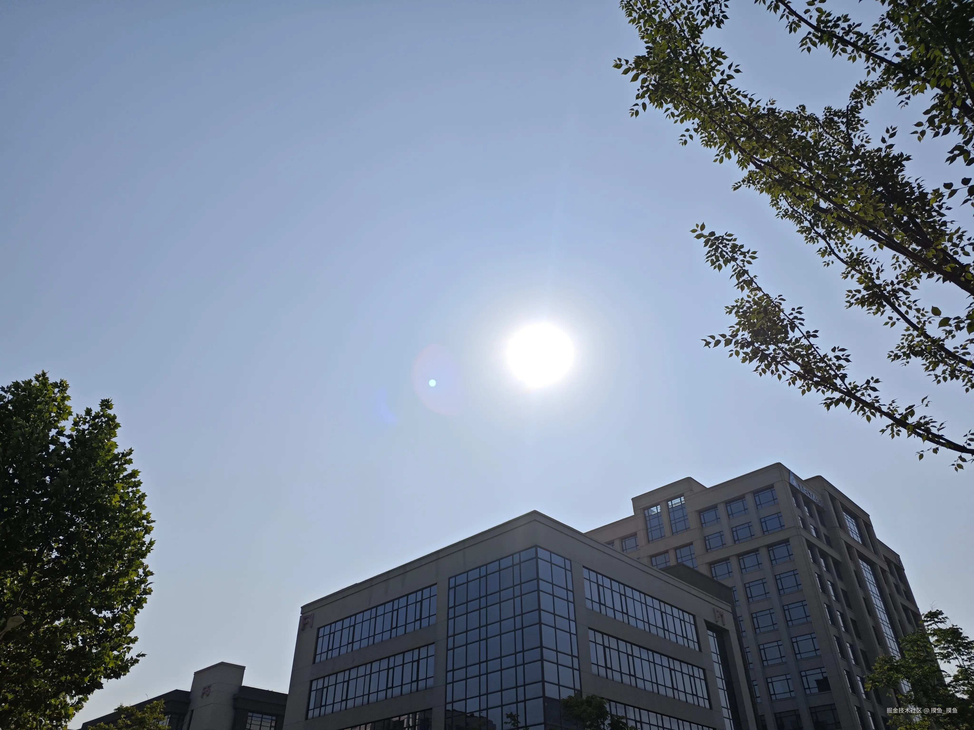 摸鱼_摸鱼于2025-05-11 09:26发布的图片