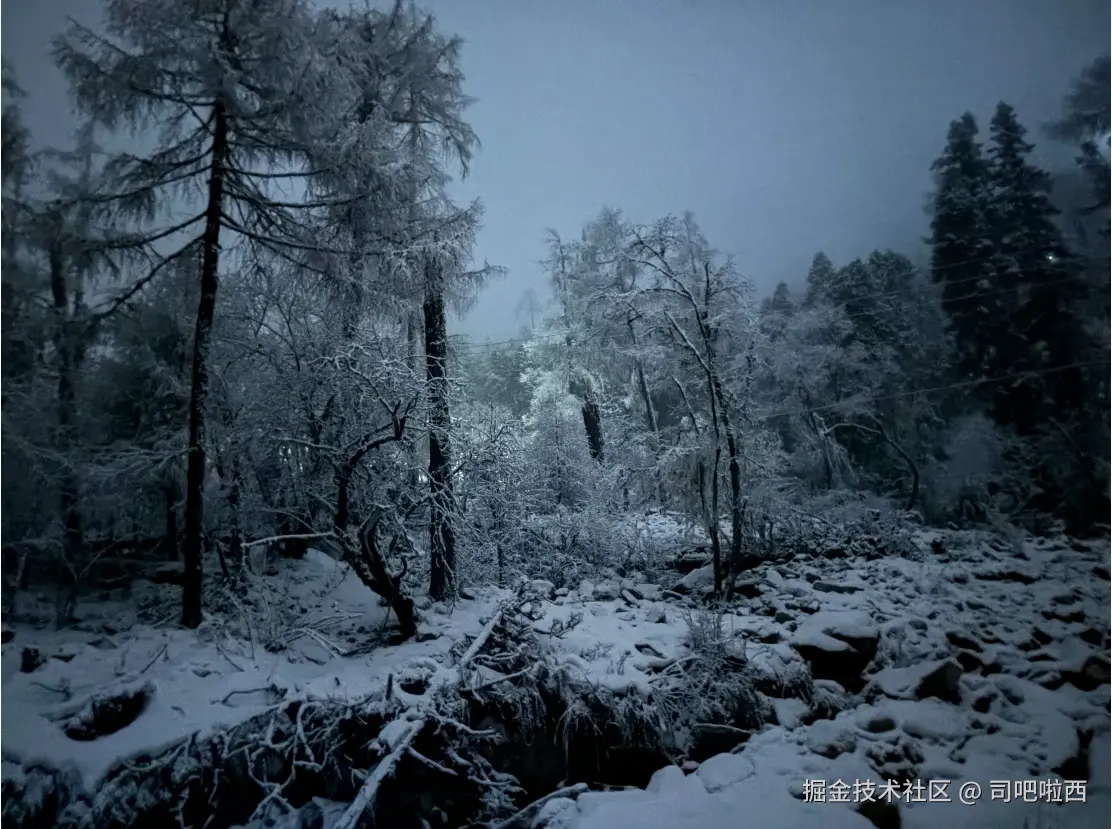 司吧啦西于2024-11-18 13:59发布的图片