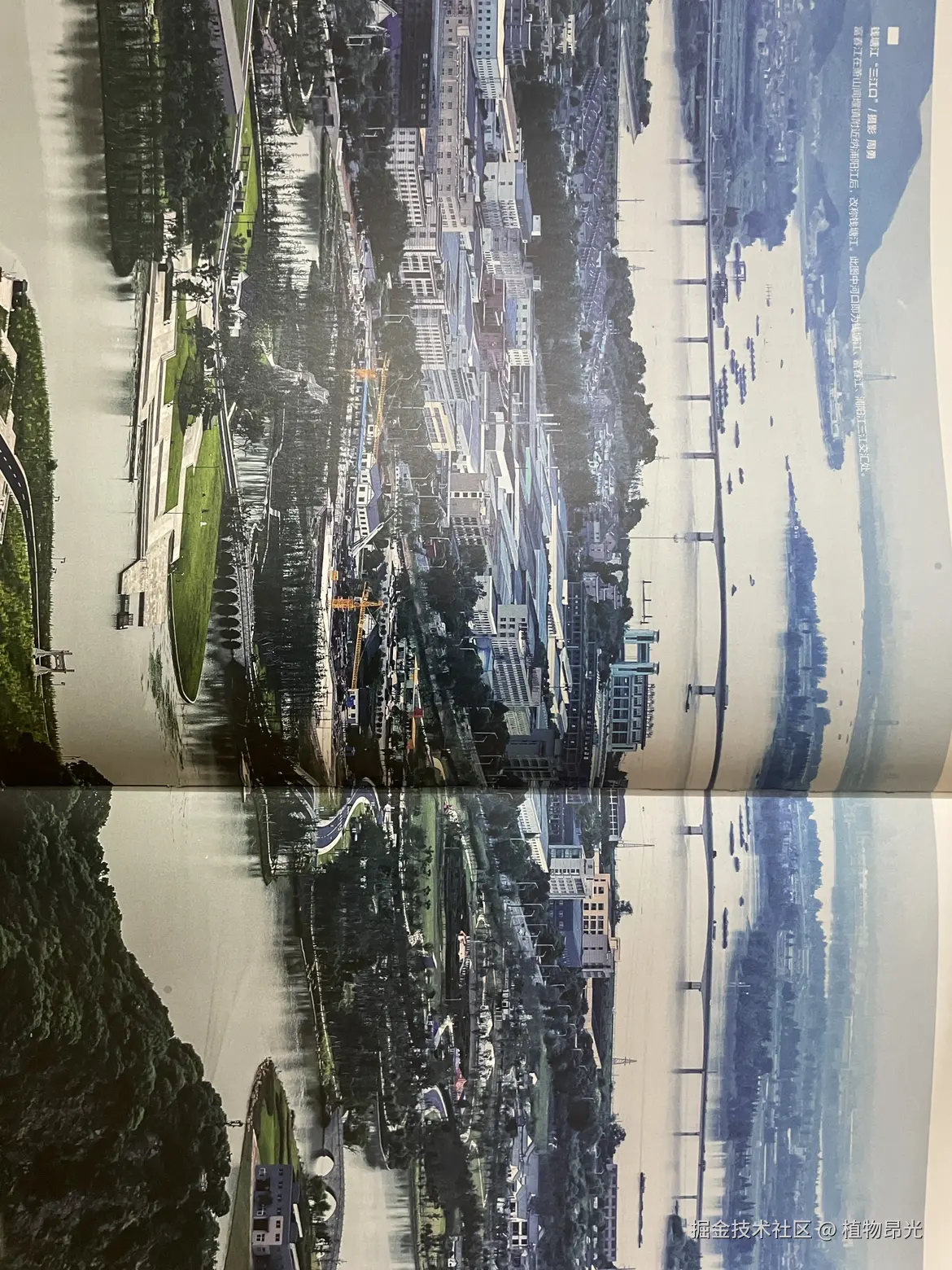 植物昂光于2026-04-14 20:57发布的图片