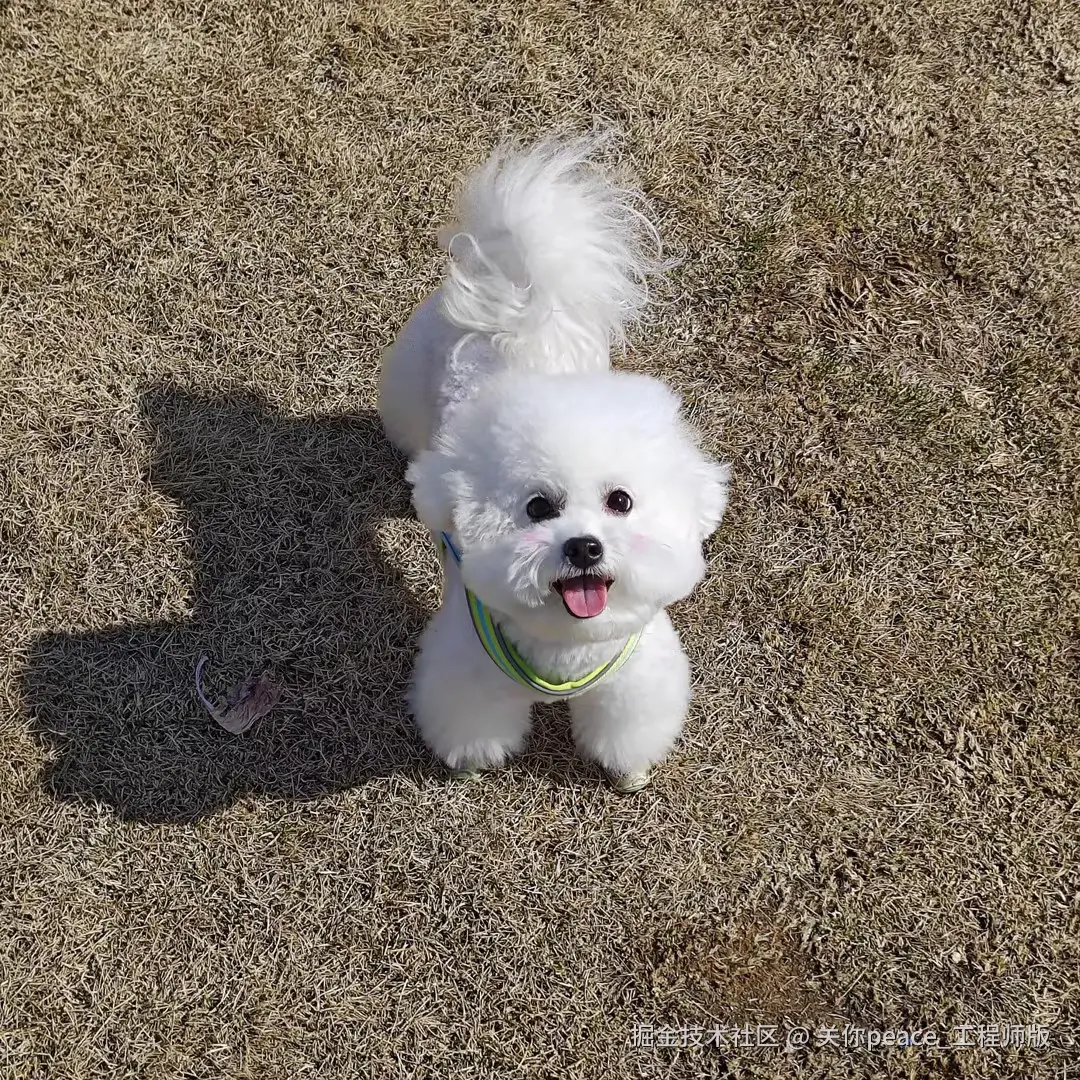 关你peace_工程师版于2026-04-15 10:23发布的图片