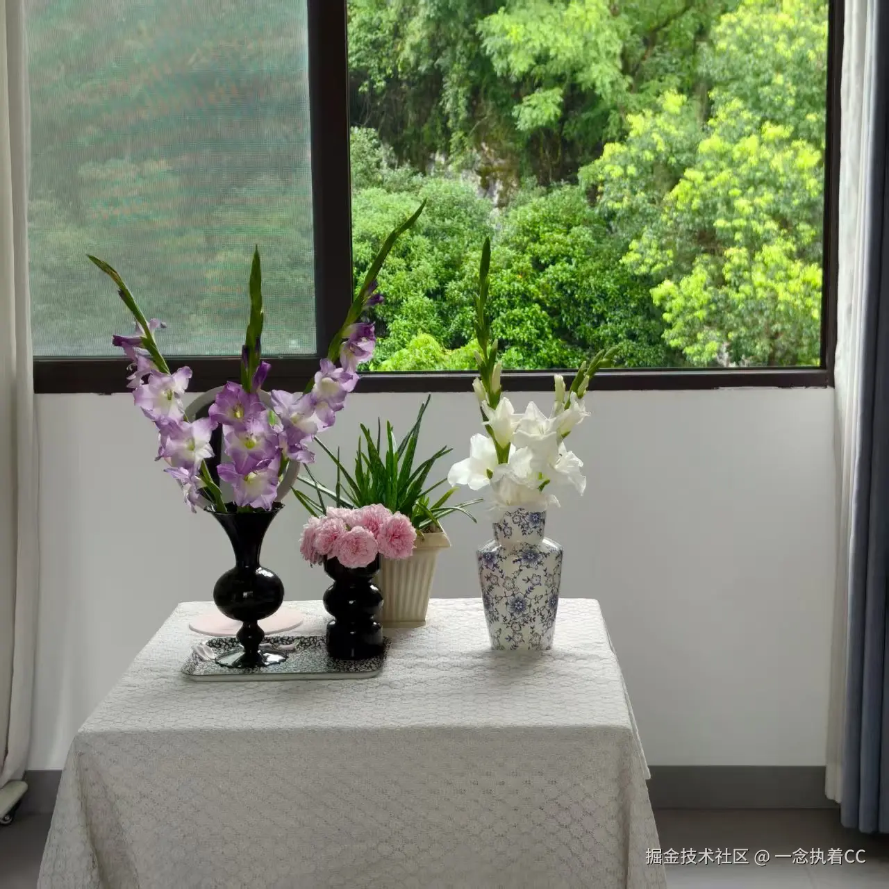 一念执着CC于2025-11-28 14:25发布的图片