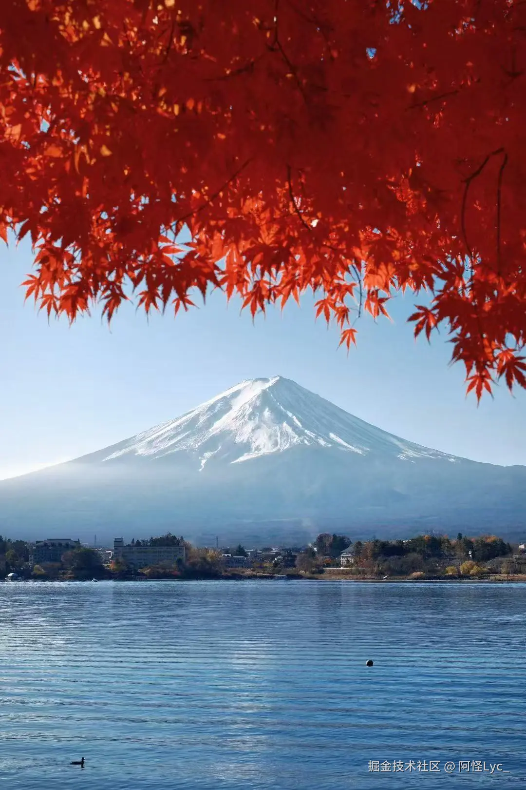 阿怪Lyc_于2025-12-30 10:57发布的图片