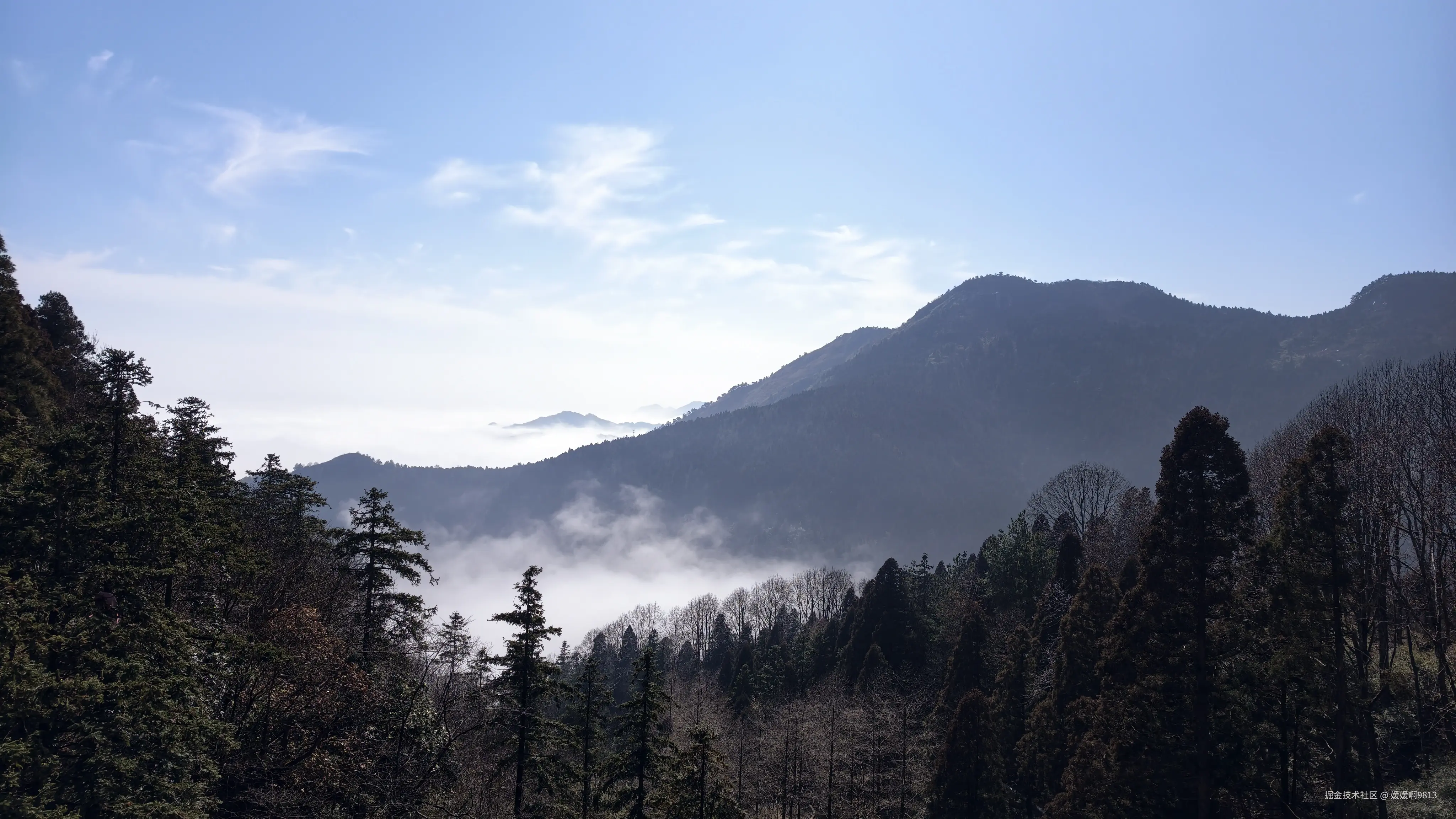 媛媛啊9813于2026-02-21 09:58发布的图片