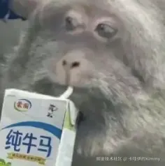 卡哇伊的Kimmy于2024-09-05 11:01发布的图片