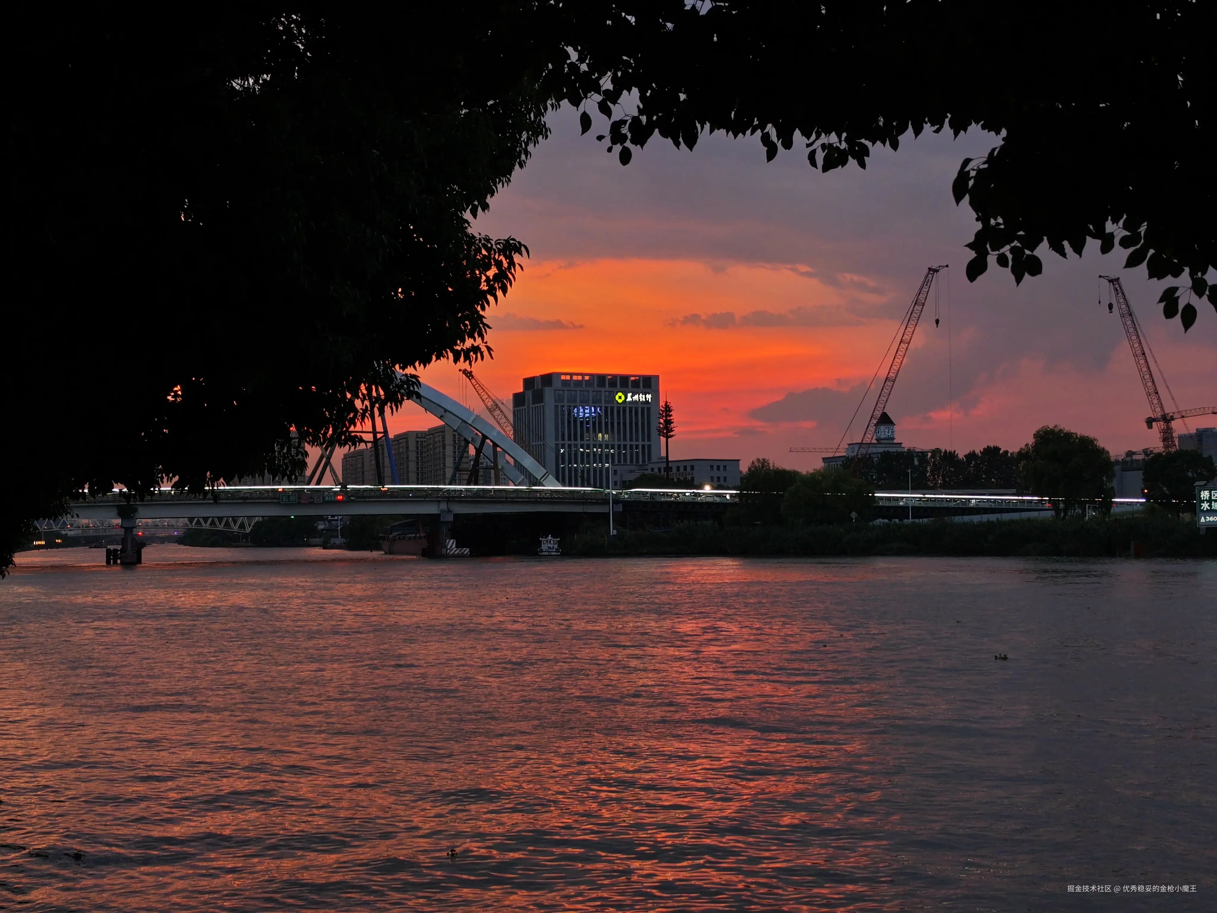 优秀稳妥的金枪小魔王于2025-08-21 11:18发布的图片