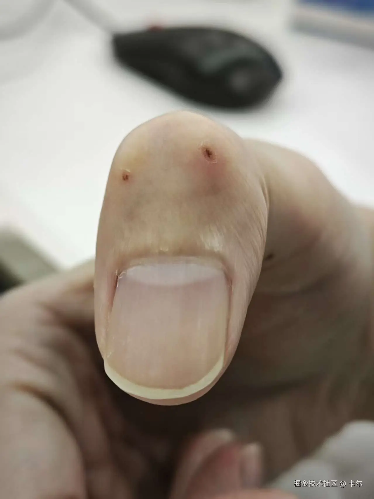 卡尓于2025-12-08 02:38发布的图片