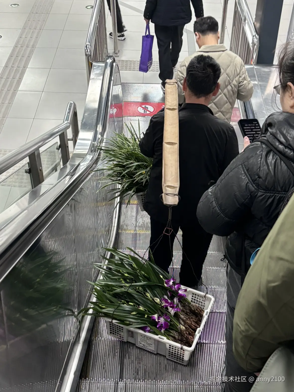 anny2100于2024-10-26 06:58发布的图片