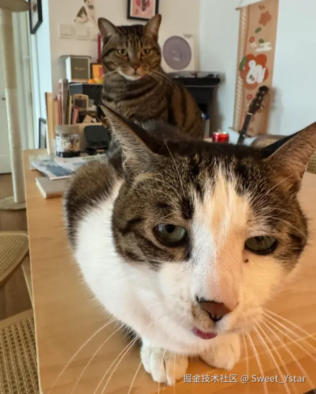 Sweet_Ystar于2026-03-11 17:25发布的图片