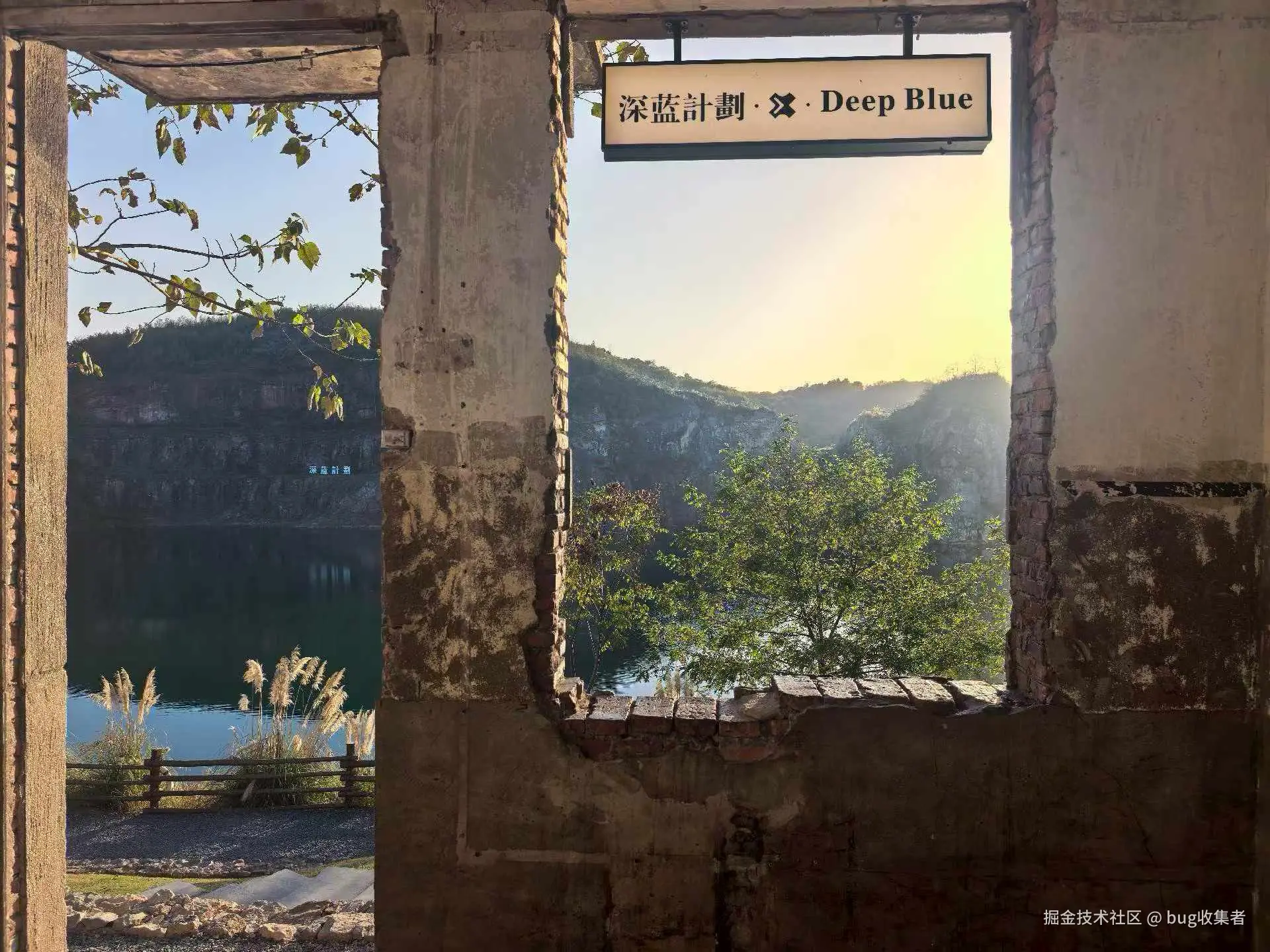 bug收集者于2025-12-01 11:25发布的图片