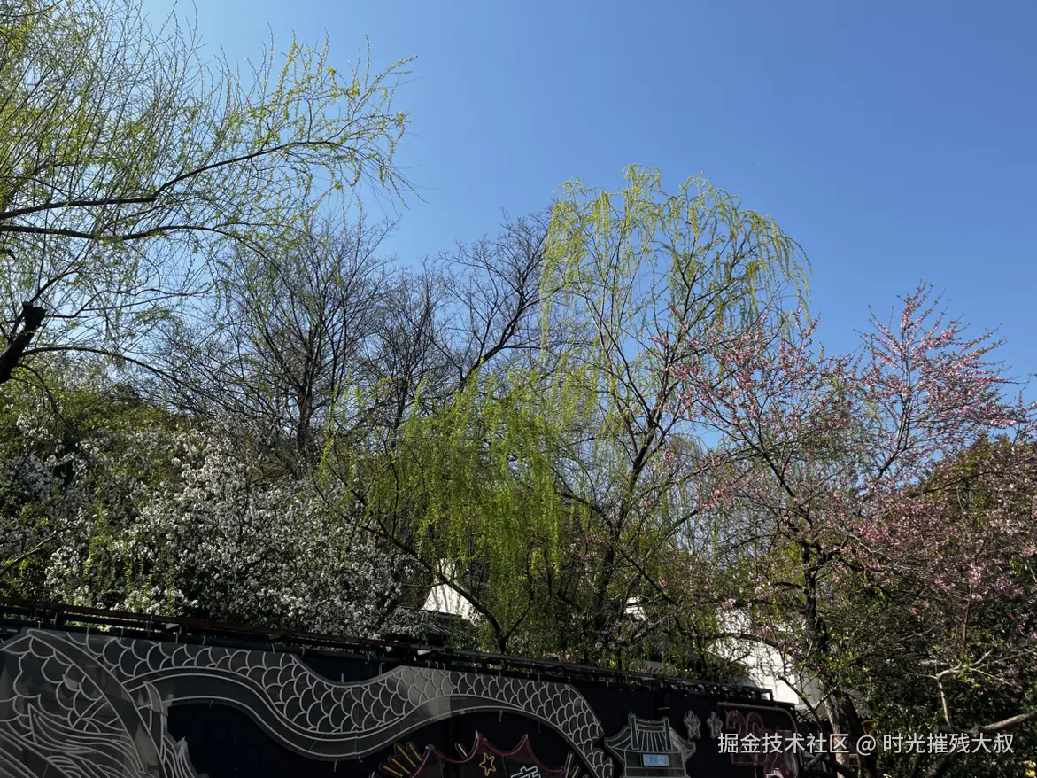 时光摧残大叔于2025-03-22 16:27发布的图片