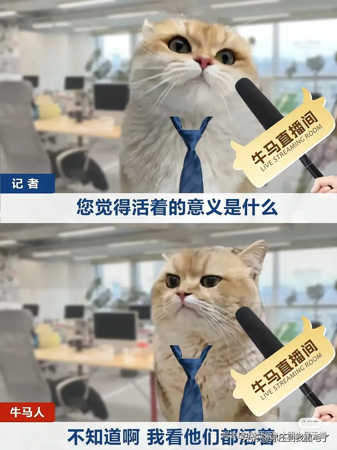 大明少保于谦于2025-04-27 09:32发布的图片