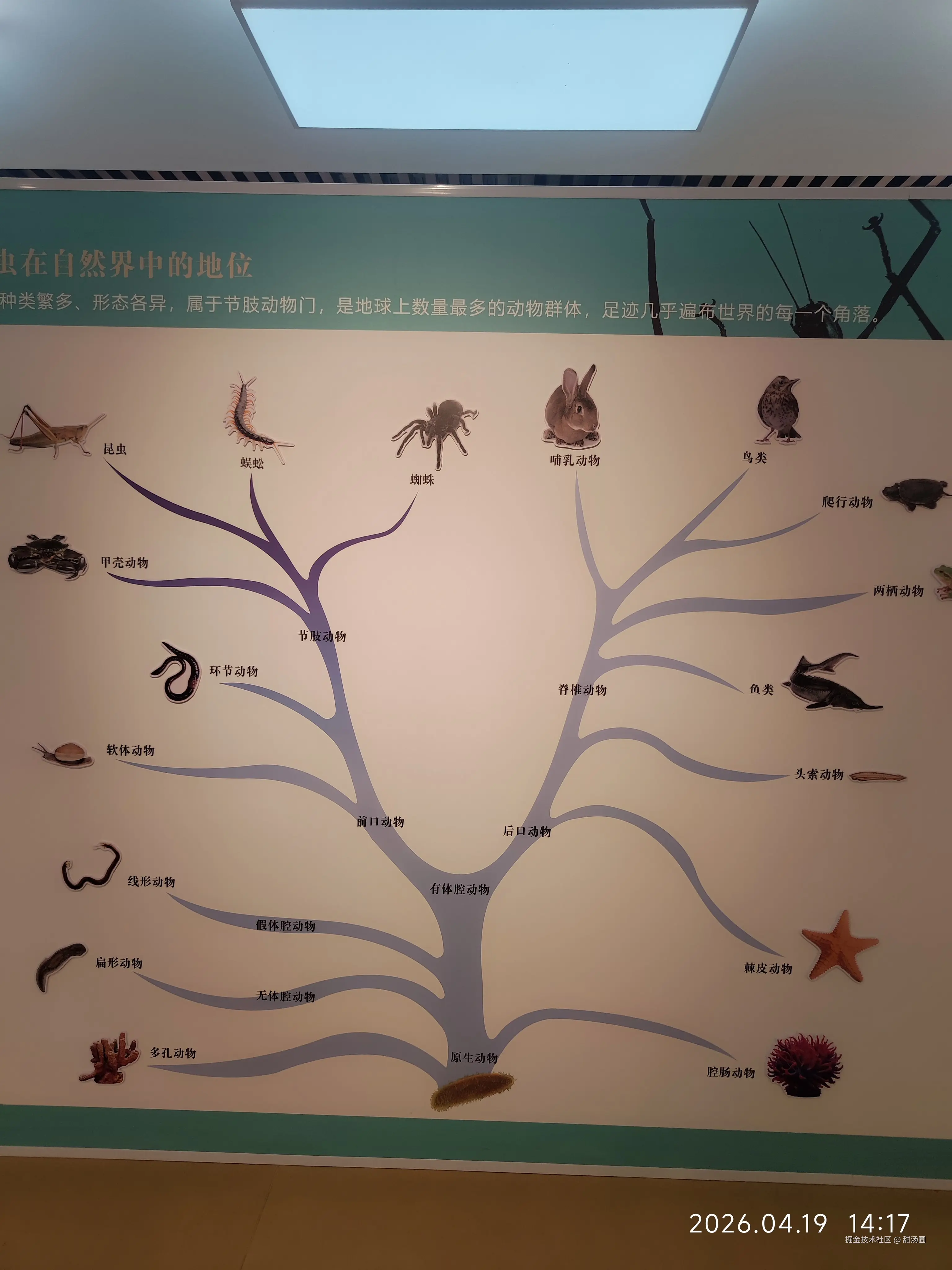 甜汤圆于2026-04-19 06:24发布的图片