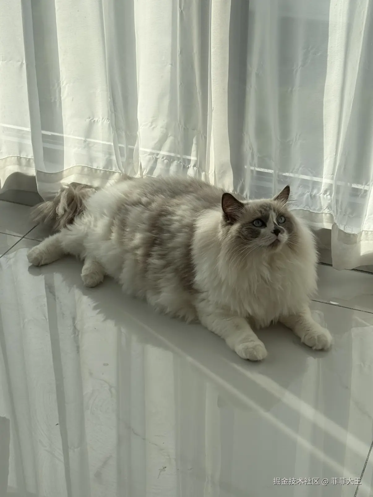 菲菲大王于2025-11-18 11:09发布的图片